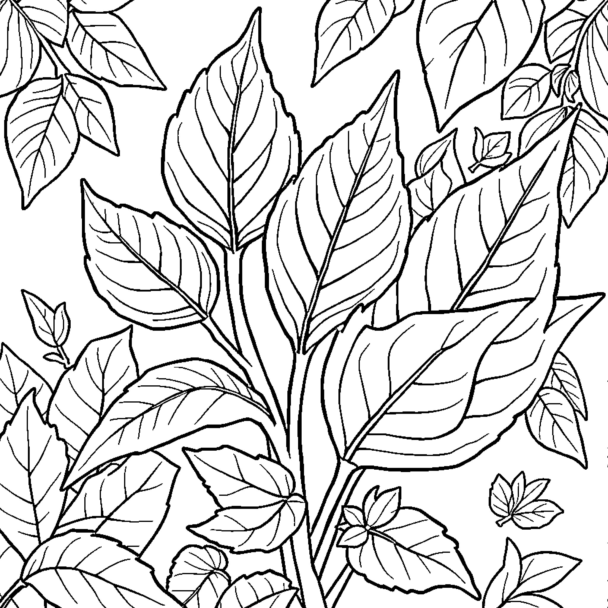 Plant with detailed leaf patterns Coloring Page (free black-and-white line drawing printable PDF for all, from beginners to advanced learners, including children, teens, adults, and seniors)
