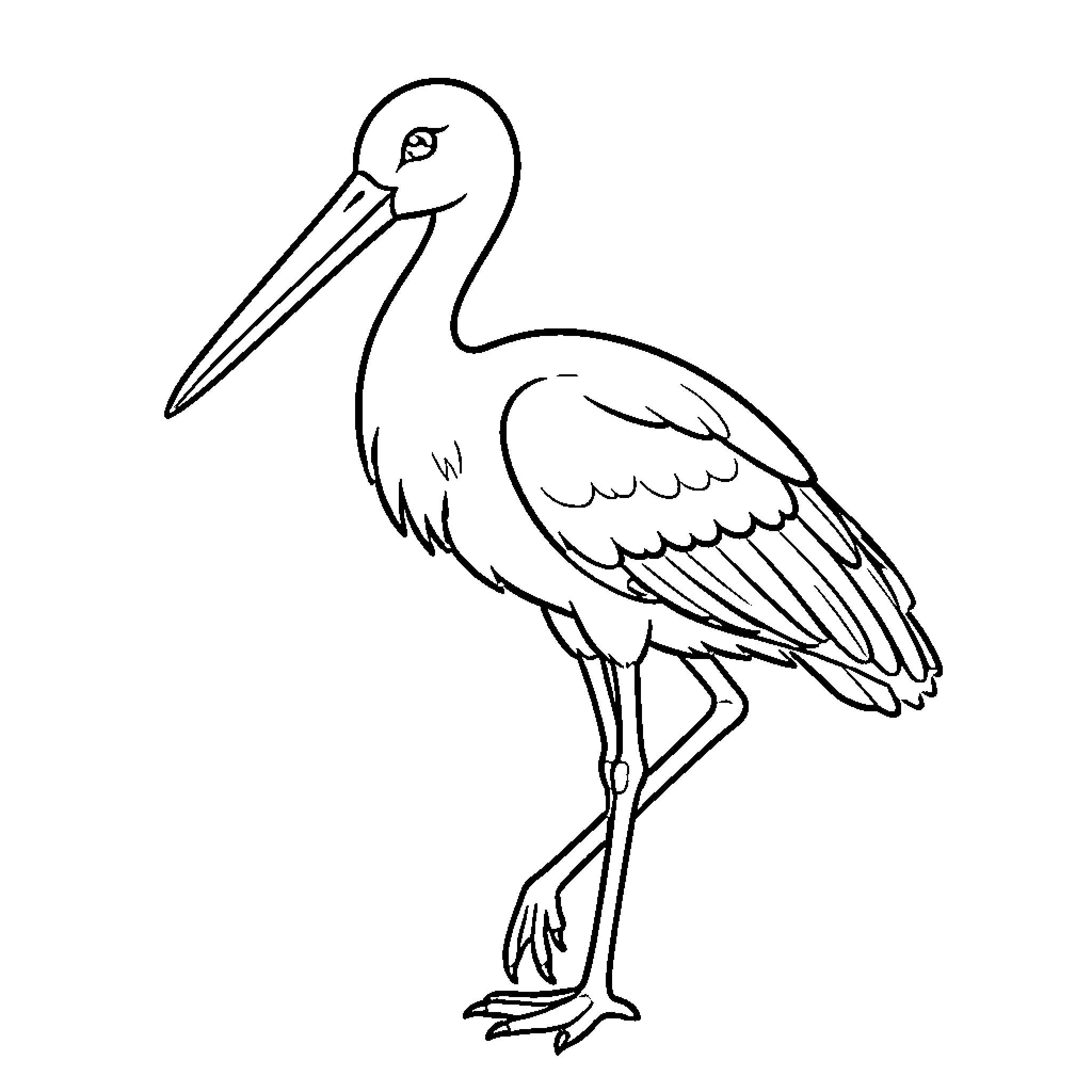Stork standing gracefully with a calm expression Coloring Page (free black-and-white line drawing printable PDF for all, from beginners to advanced learners, including children, teens, adults, and seniors)