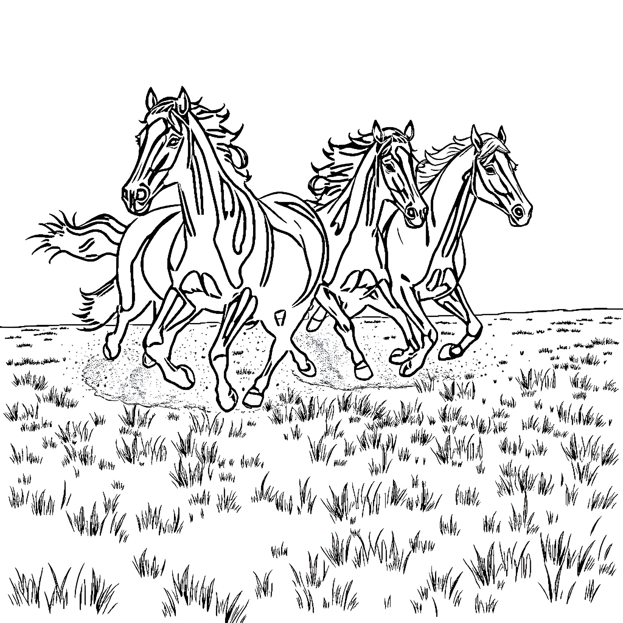Horse herd galloping through grassy field Coloring Page (free black-and-white line drawing printable PDF for all, from beginners to advanced learners, including children, teens, adults, and seniors)