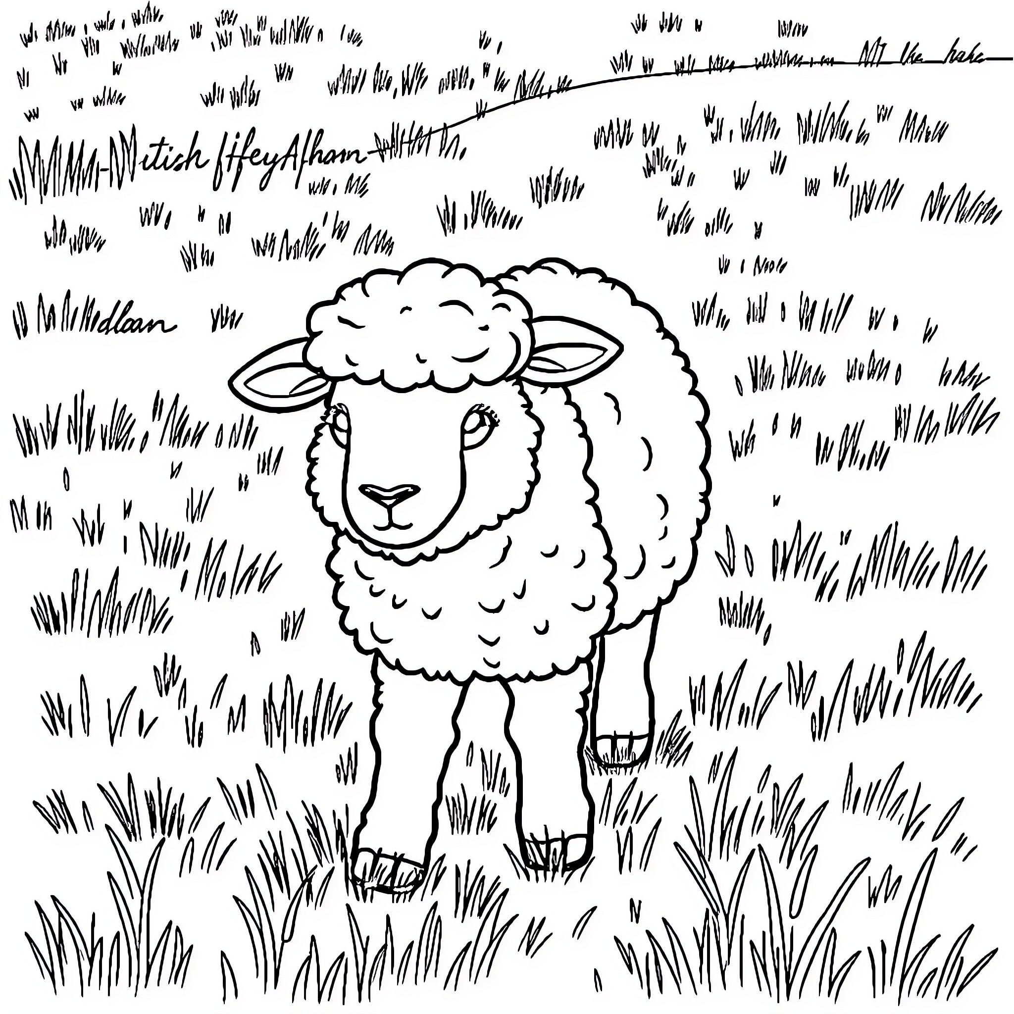Sheep standing amidst grassy field Coloring Page (free black-and-white line drawing printable PDF for all, from beginners to advanced learners, including children, teens, adults, and seniors)