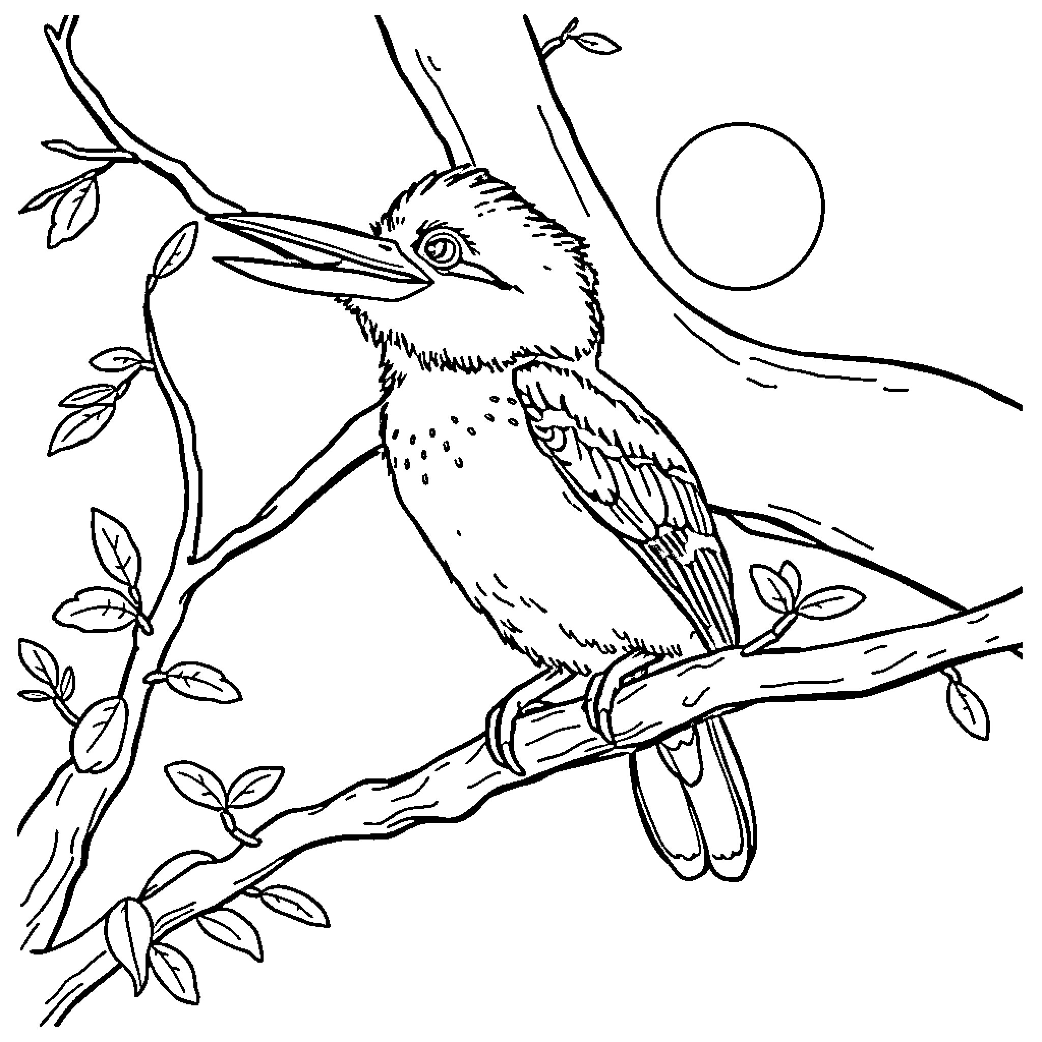 Kookaburra perched on branch in nature Coloring Page (free black-and-white line drawing printable PDF for all, from beginners to advanced learners, including children, teens, adults, and seniors)