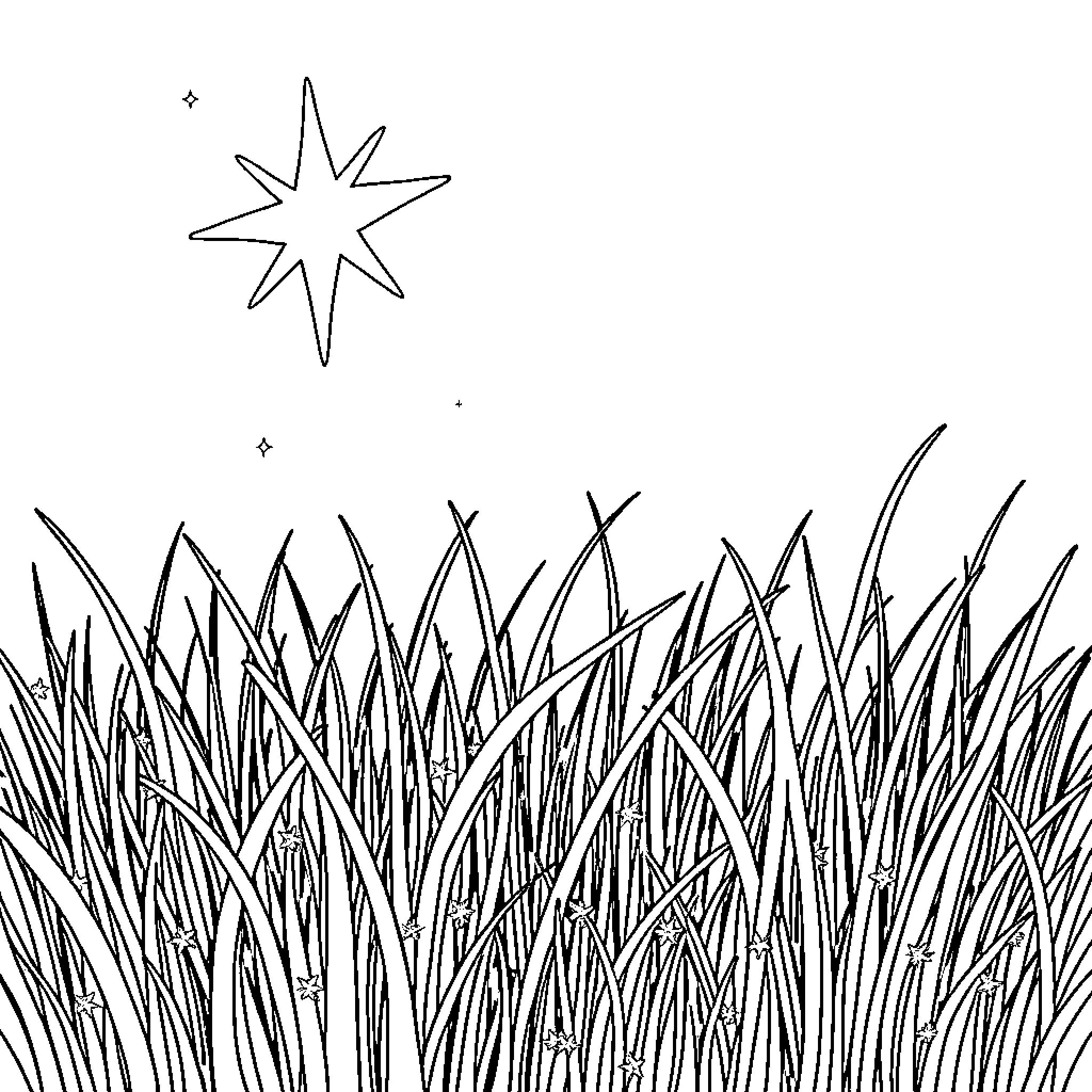 Star Grass with Twinkling Night Sky Coloring Page (free black-and-white line drawing printable PDF for all, from beginners to advanced learners, including children, teens, adults, and seniors)