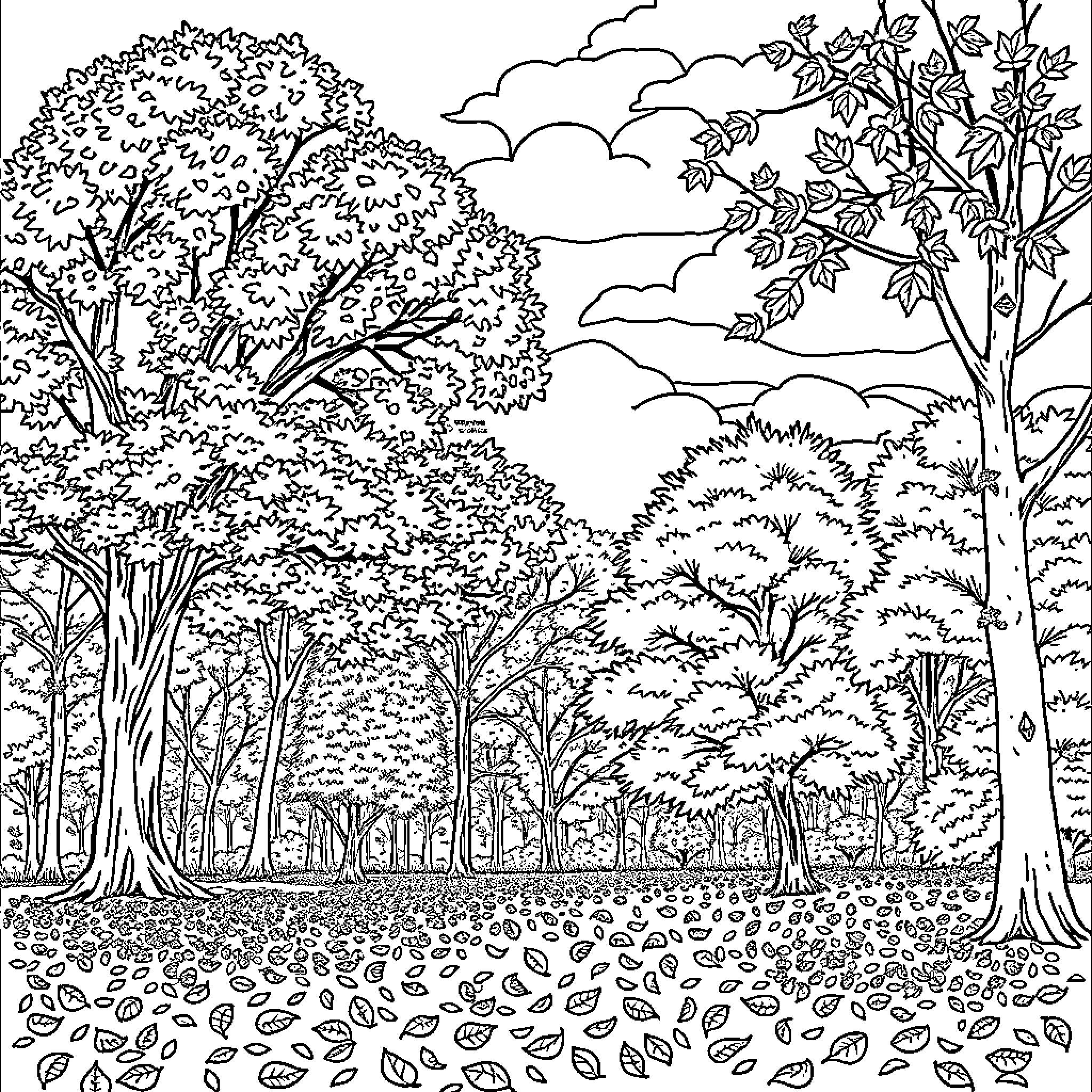 Tree-filled Woodland Landscape with Clouds Coloring Page (free black-and-white line drawing printable PDF for all, from beginners to advanced learners, including children, teens, adults, and seniors)
