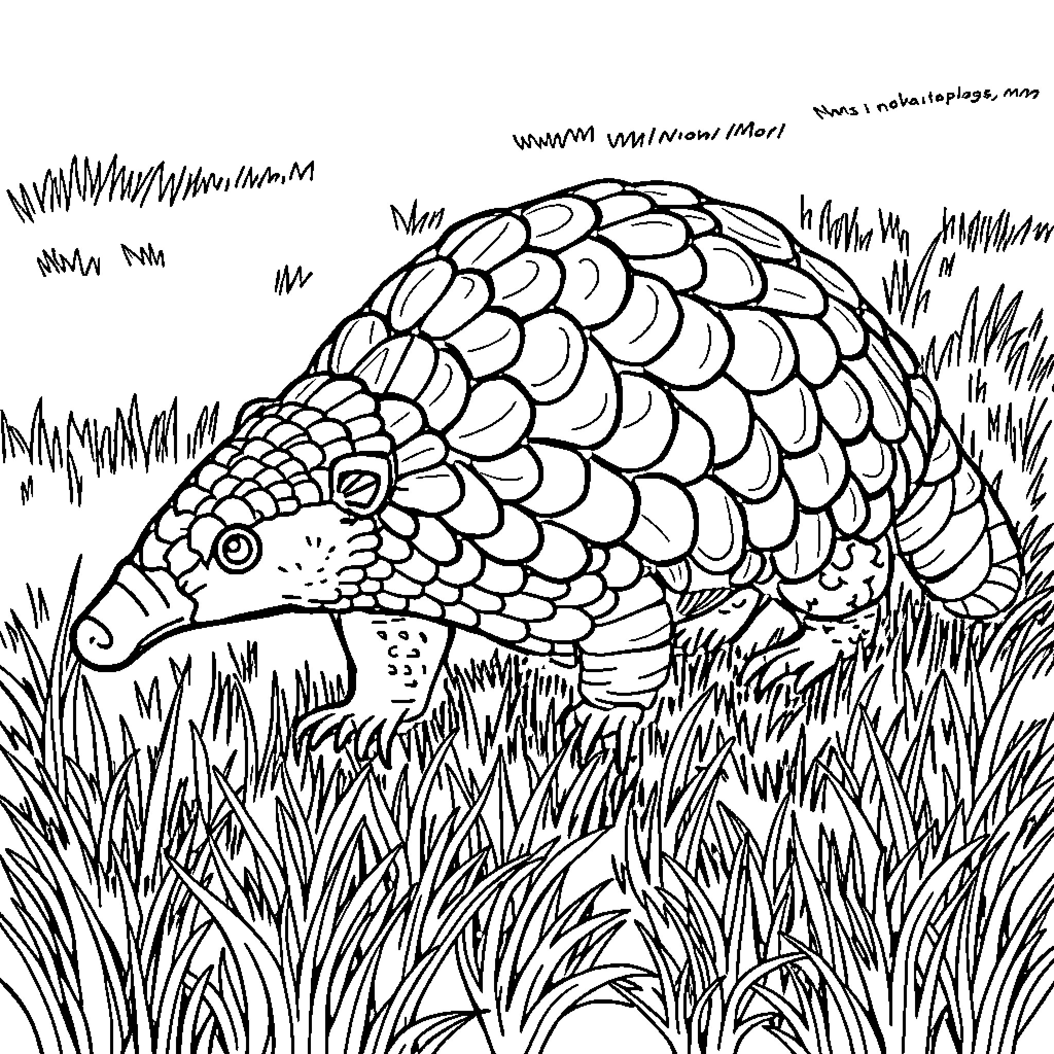 Pangolin exploring the lush grass Coloring Page (free black-and-white line drawing printable PDF for all, from beginners to advanced learners, including children, teens, adults, and seniors)