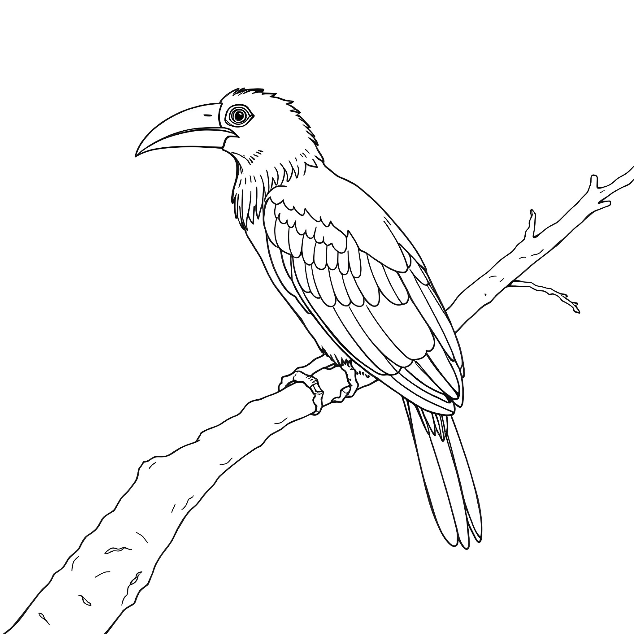 Eudocimus Ruber perched on a tree branch Coloring Page (free black-and-white line drawing printable PDF for all, from beginners to advanced learners, including children, teens, adults, and seniors)