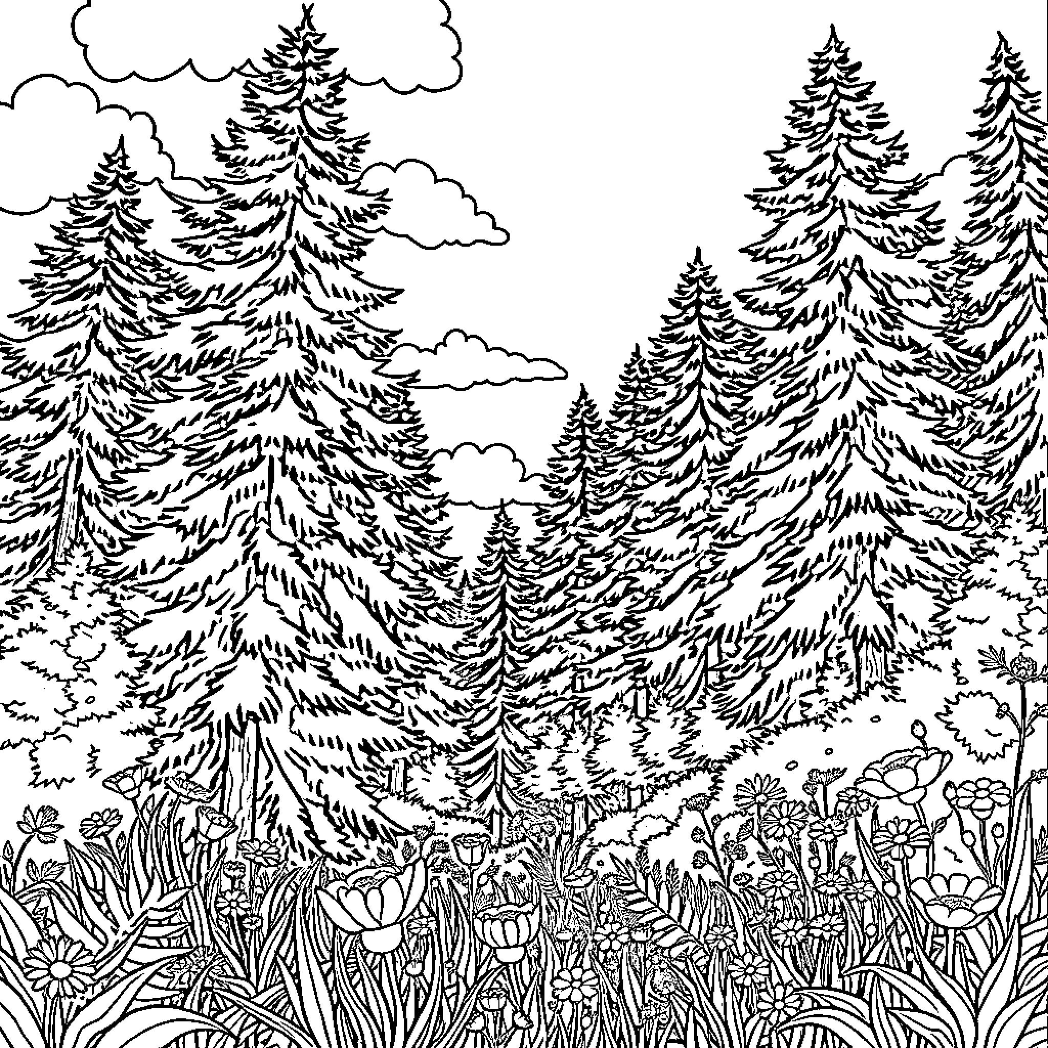 Nature's Enchanted Forest Coloring Page (free black-and-white line drawing printable PDF for all, from beginners to advanced learners, including children, teens, adults, and seniors)