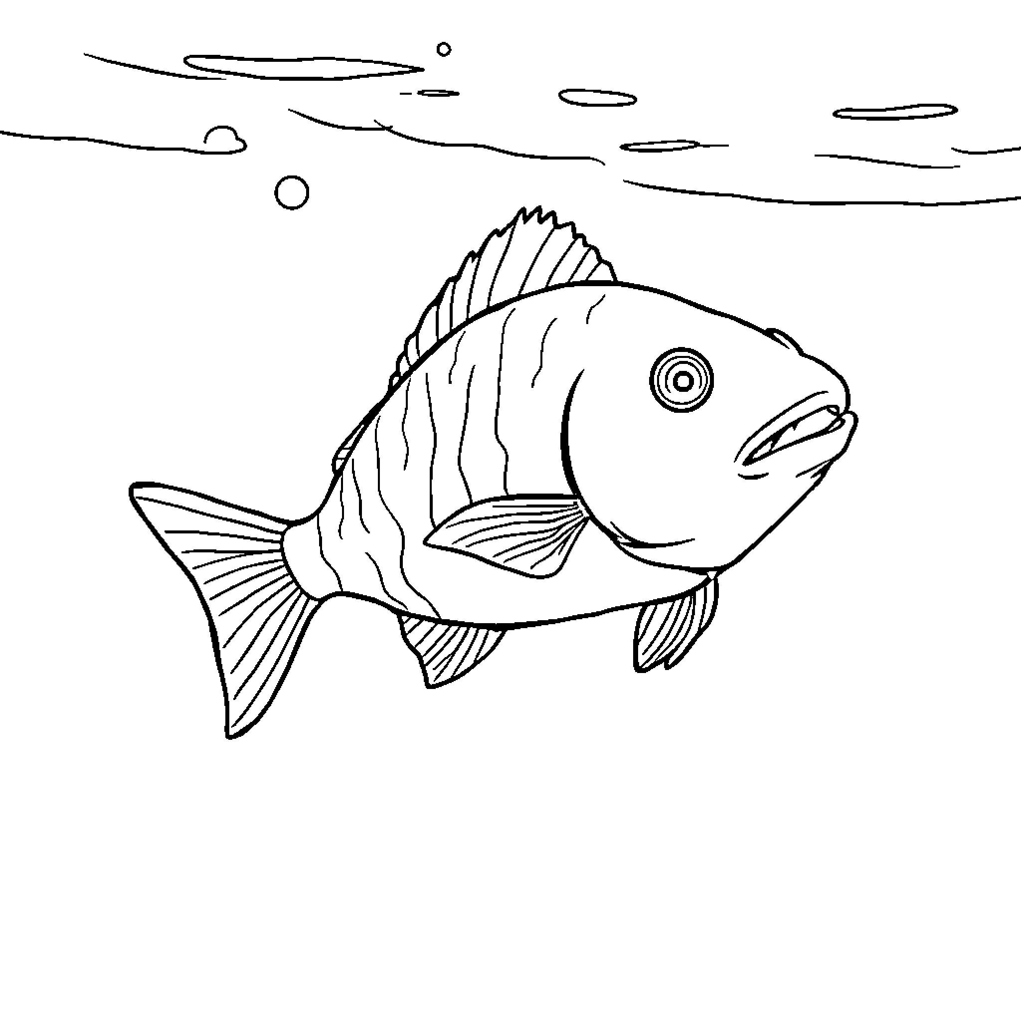 Fish swimming gracefully in the ocean Coloring Page (free black-and-white line drawing printable PDF for all, from beginners to advanced learners, including children, teens, adults, and seniors)