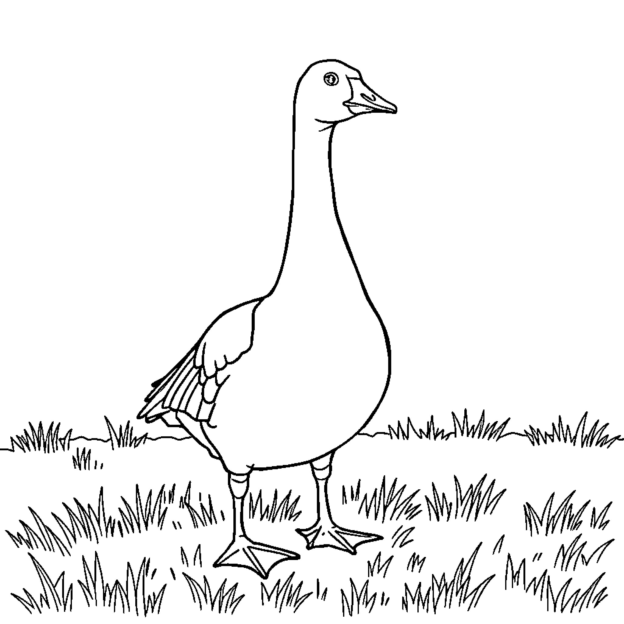 Goose wandering through grassy field Coloring Page (free black-and-white line drawing printable PDF for all, from beginners to advanced learners, including children, teens, adults, and seniors)