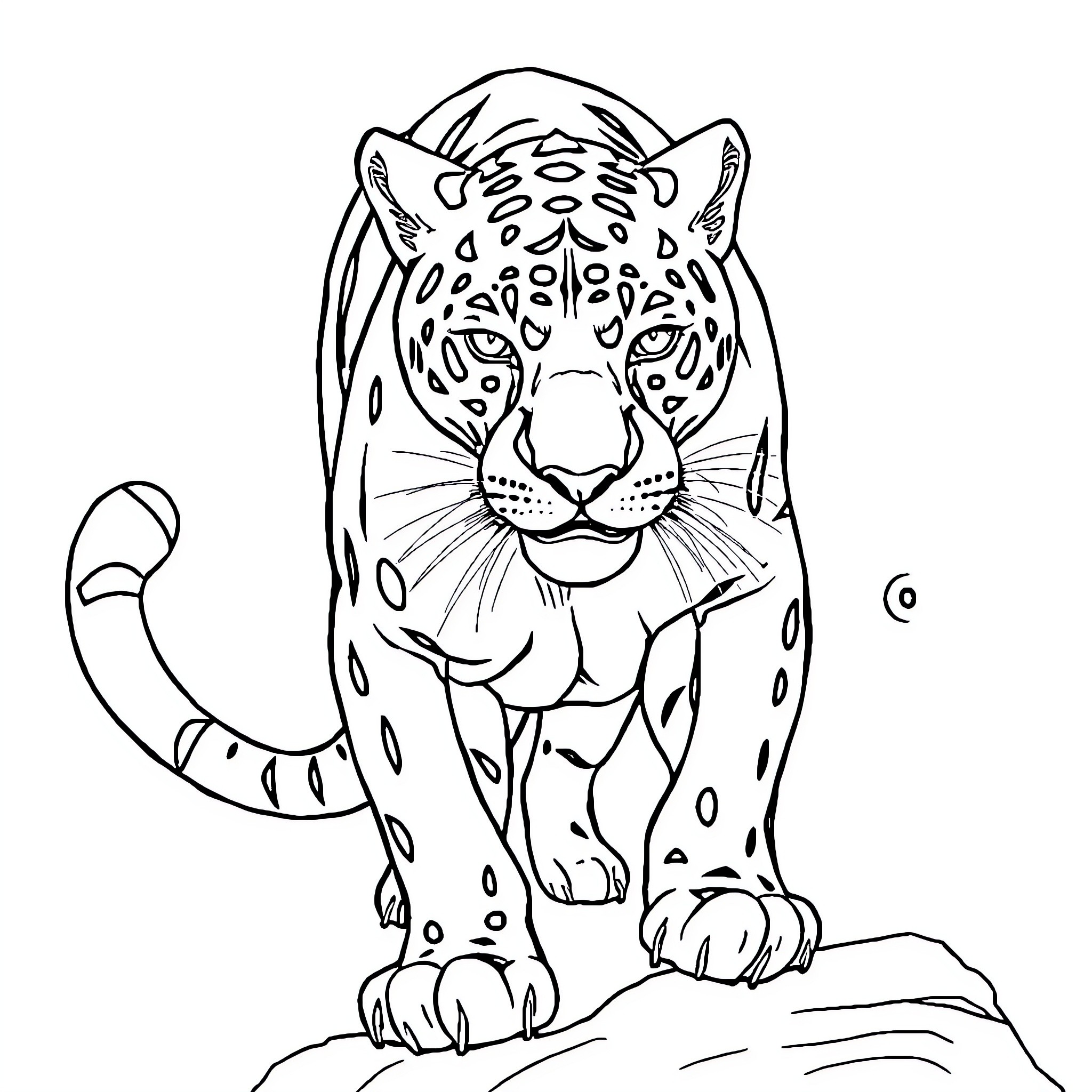 Panther crouched and ready to pounce Coloring Page (free black-and-white line drawing printable PDF for all, from beginners to advanced learners, including children, teens, adults, and seniors)