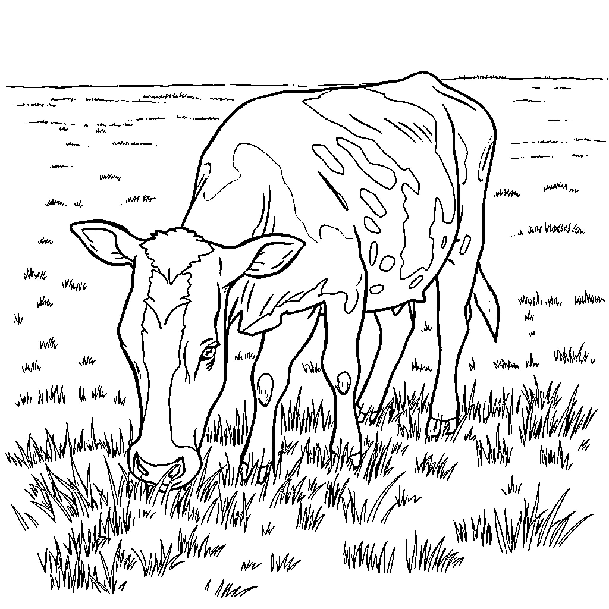 Cow resting peacefully in the meadow Coloring Page (free black-and-white line drawing printable PDF for all, from beginners to advanced learners, including children, teens, adults, and seniors)
