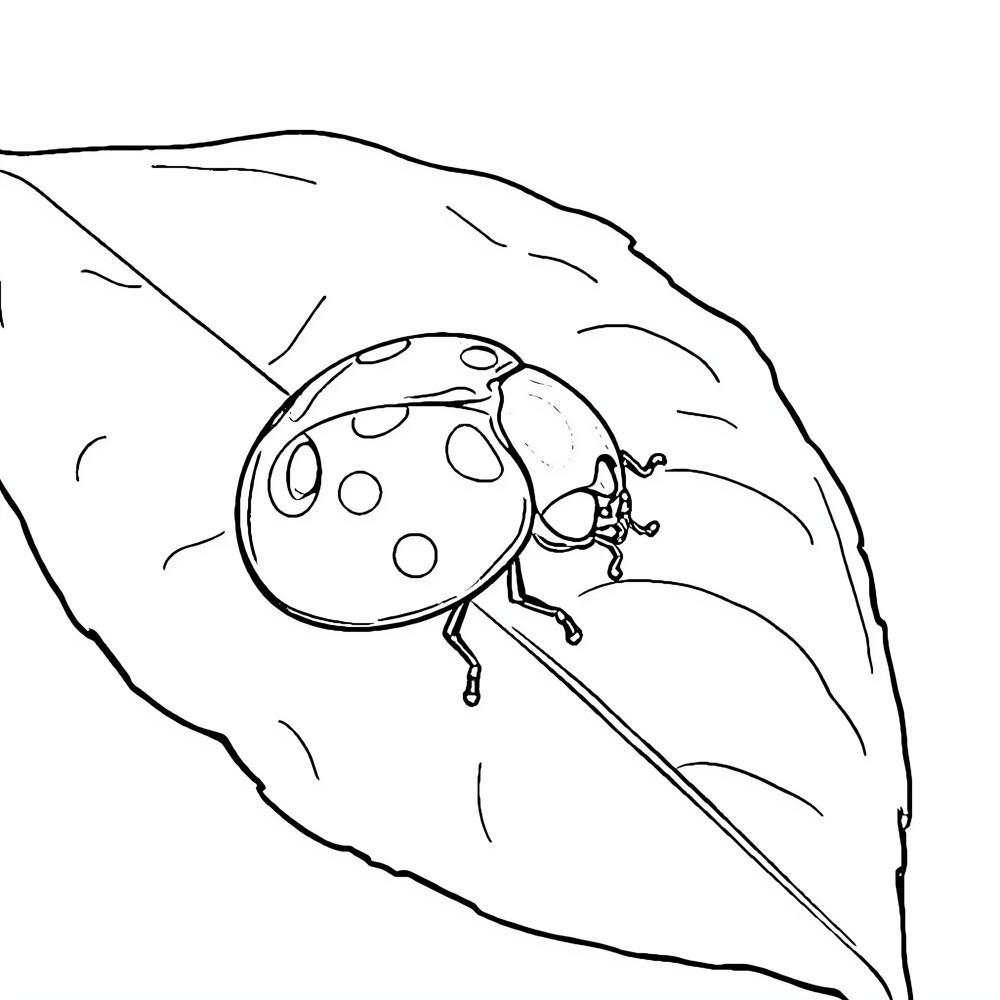 Ladybug crawling on a leaf Coloring Page (free black-and-white line drawing printable PDF for all, from beginners to advanced learners, including children, teens, adults, and seniors)