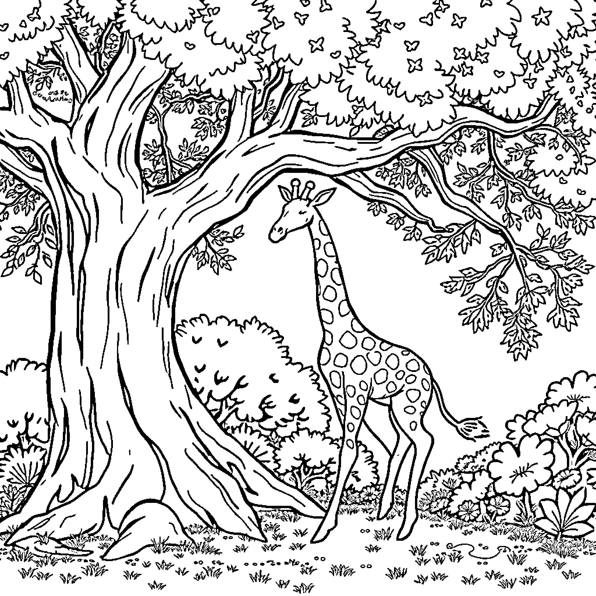 Giraffe exploring the enchanting forest Coloring Page (free black-and-white line drawing printable PDF for all, from beginners to advanced learners, including children, teens, adults, and seniors)