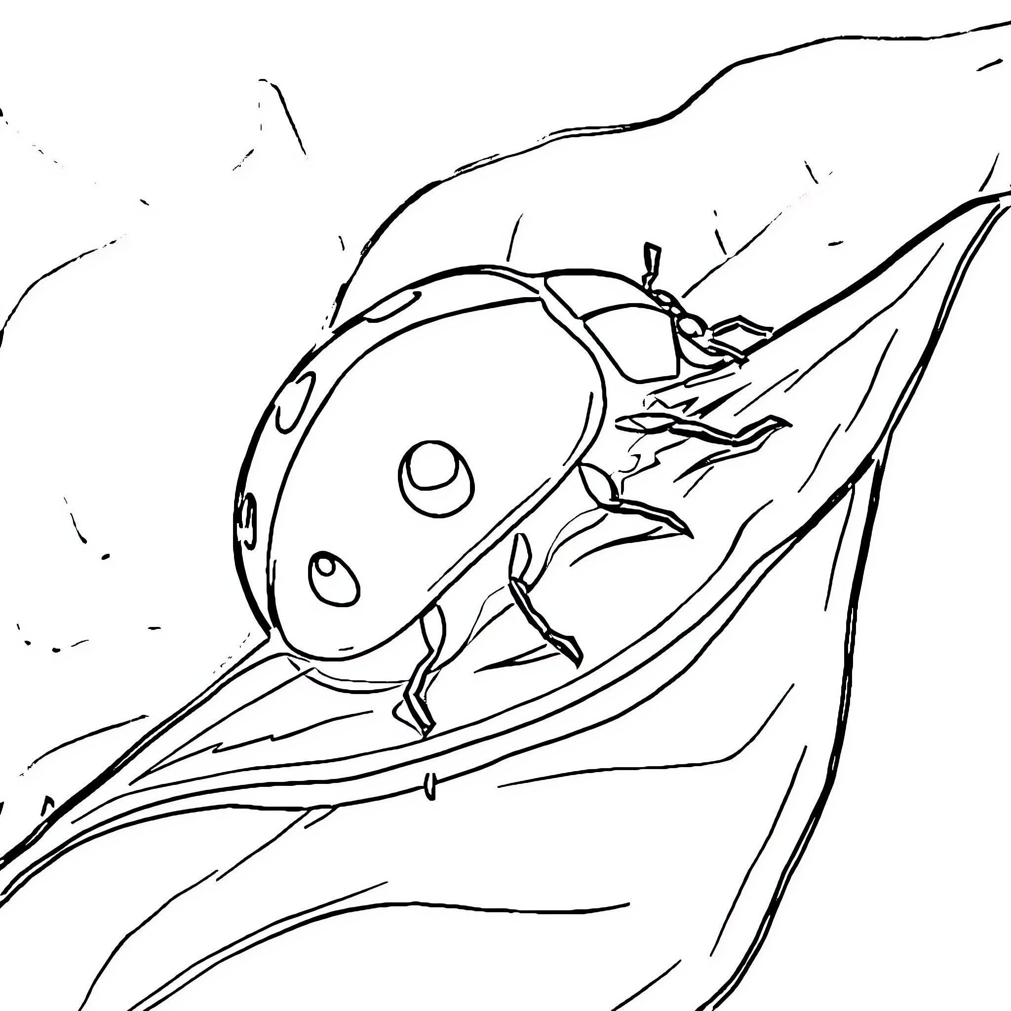 Ladybug soaring gracefully through the wind Coloring Page (free black-and-white line drawing printable PDF for all, from beginners to advanced learners, including children, teens, adults, and seniors)