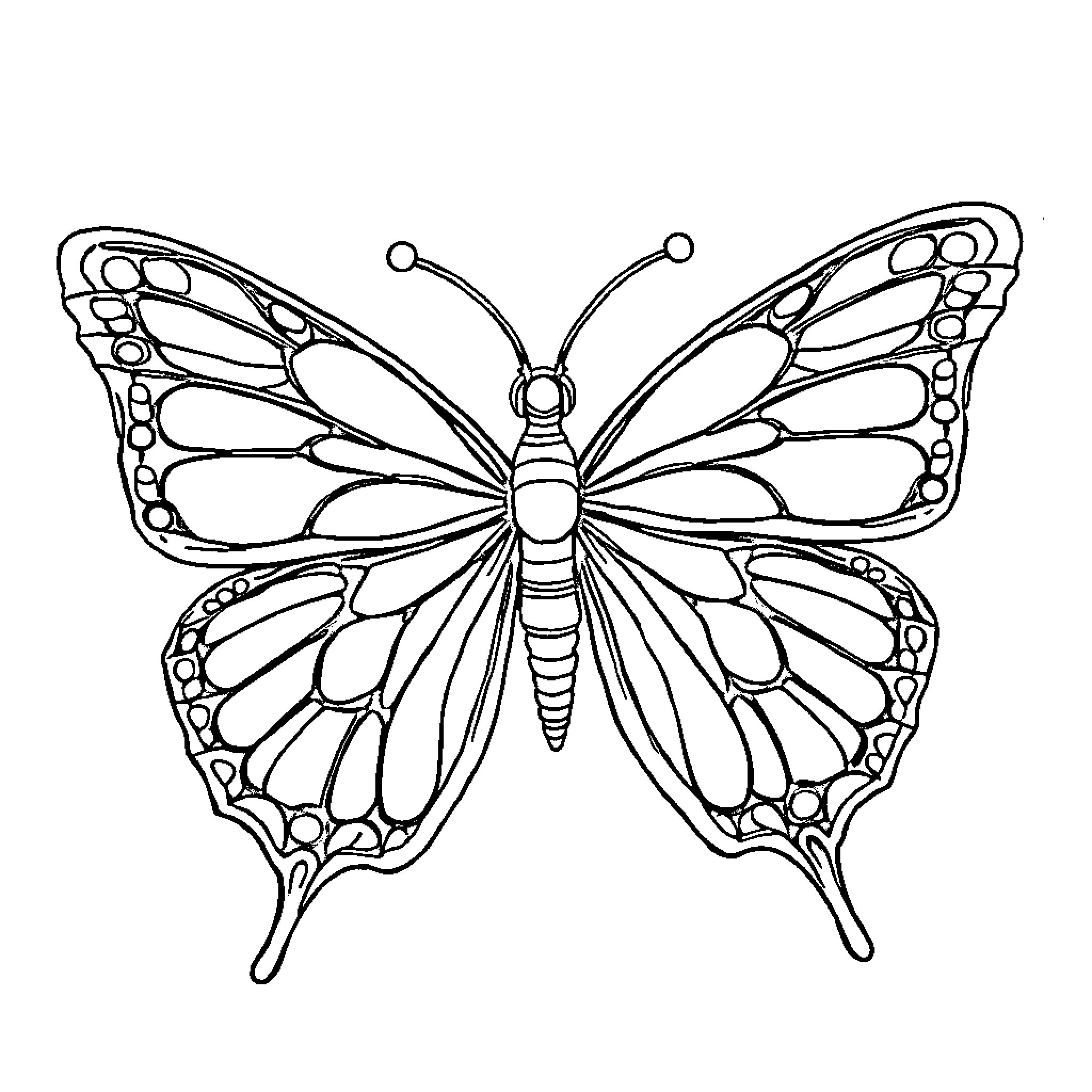 Butterfly with intricate wing details Coloring Page (free black-and-white line drawing printable PDF for all, from beginners to advanced learners, including children, teens, adults, and seniors)