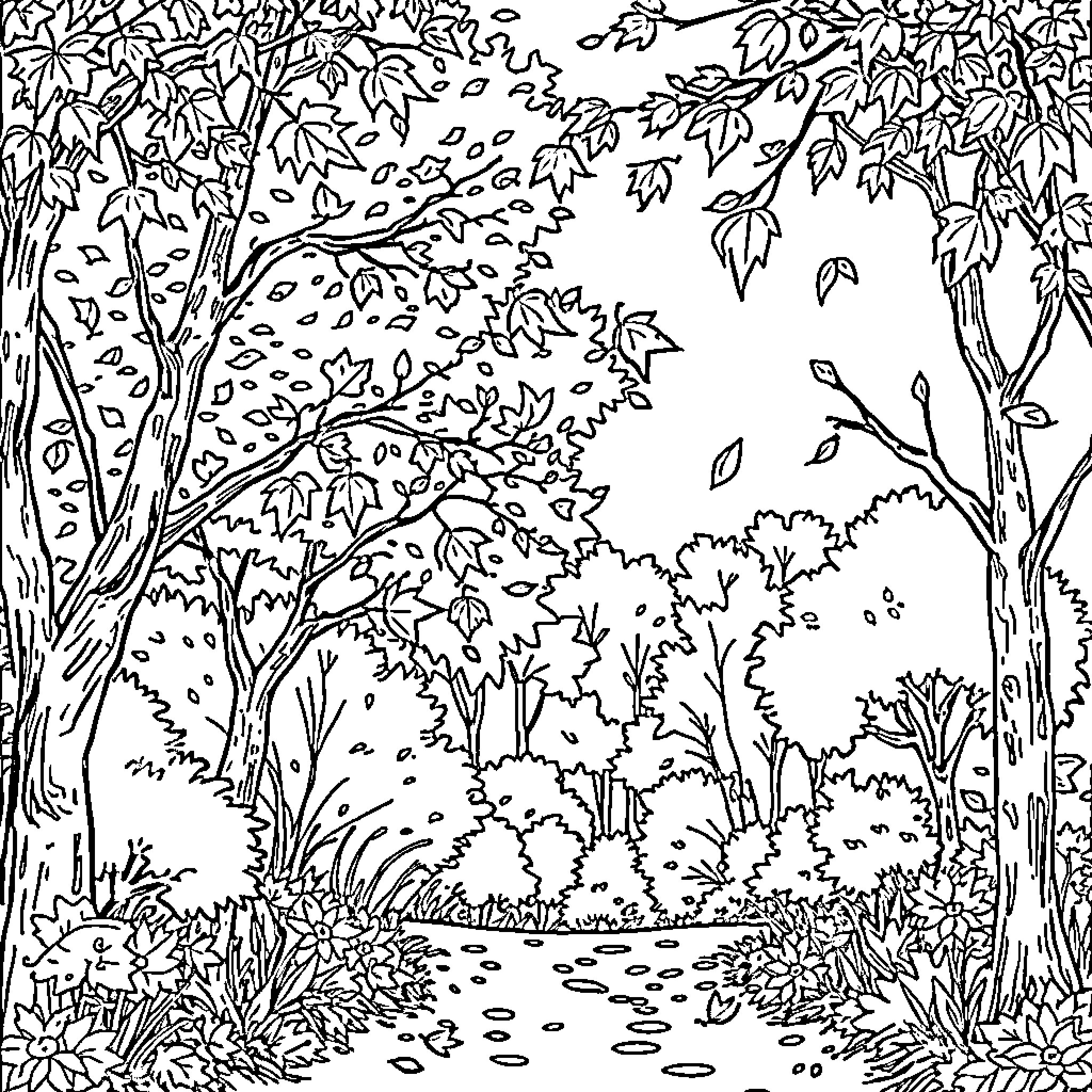 Autumn Forest Path with Falling Leaves Coloring Page (free black-and-white line drawing printable PDF for all, from beginners to advanced learners, including children, teens, adults, and seniors)