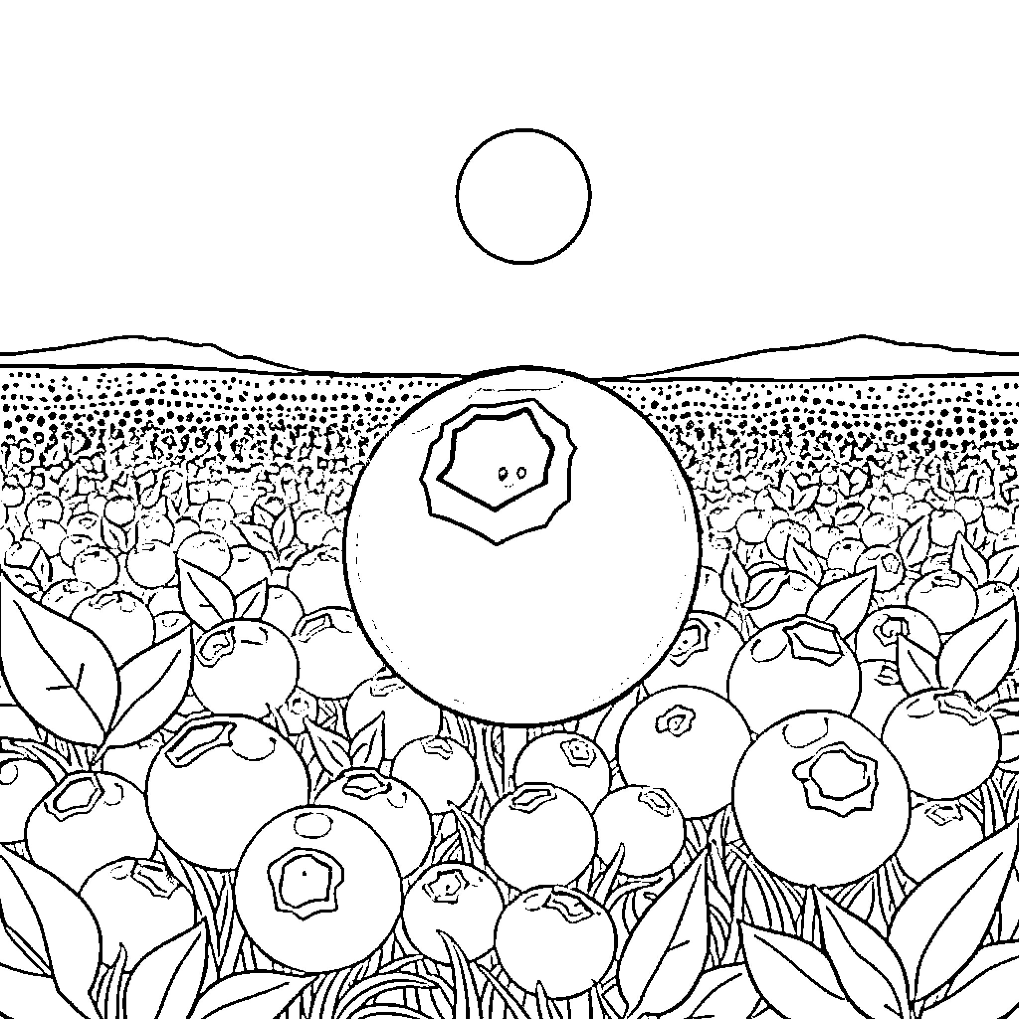 Blueberry bushes blooming in the sunlight Coloring Page (free black-and-white line drawing printable PDF for all, from beginners to advanced learners, including children, teens, adults, and seniors)