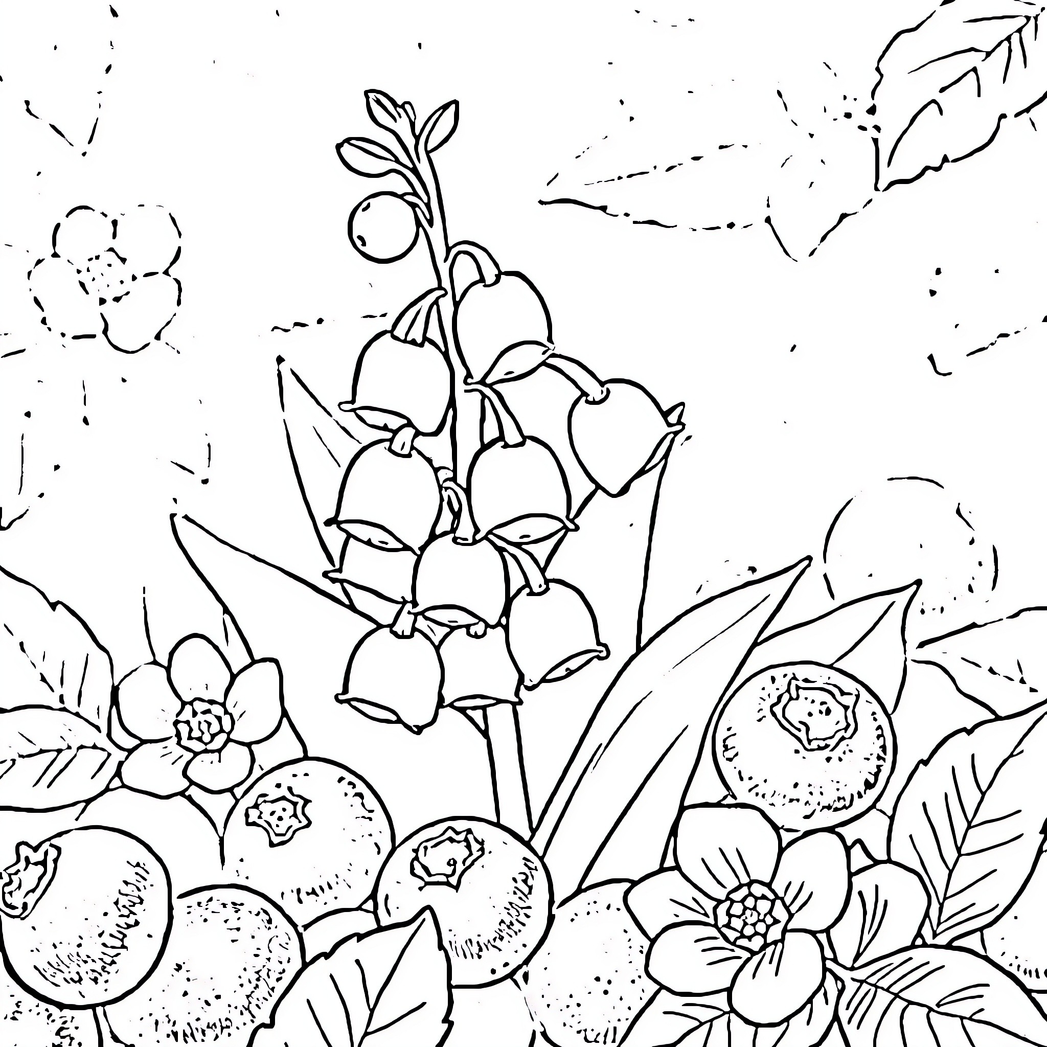 Lilly of the Valley blooming amidst nature's beauty Coloring Page (free black-and-white line drawing printable PDF for all, from beginners to advanced learners, including children, teens, adults, and seniors)