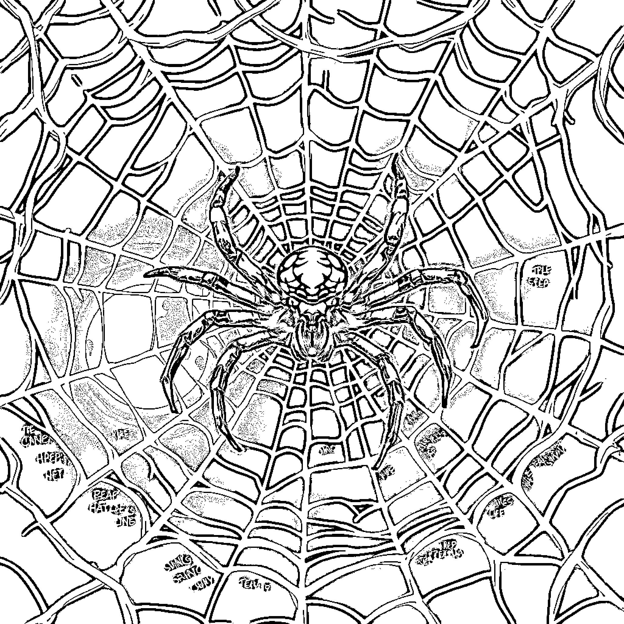 Spider weaving an intricate web Coloring Page (free black-and-white line drawing printable PDF for all, from beginners to advanced learners, including children, teens, adults, and seniors)