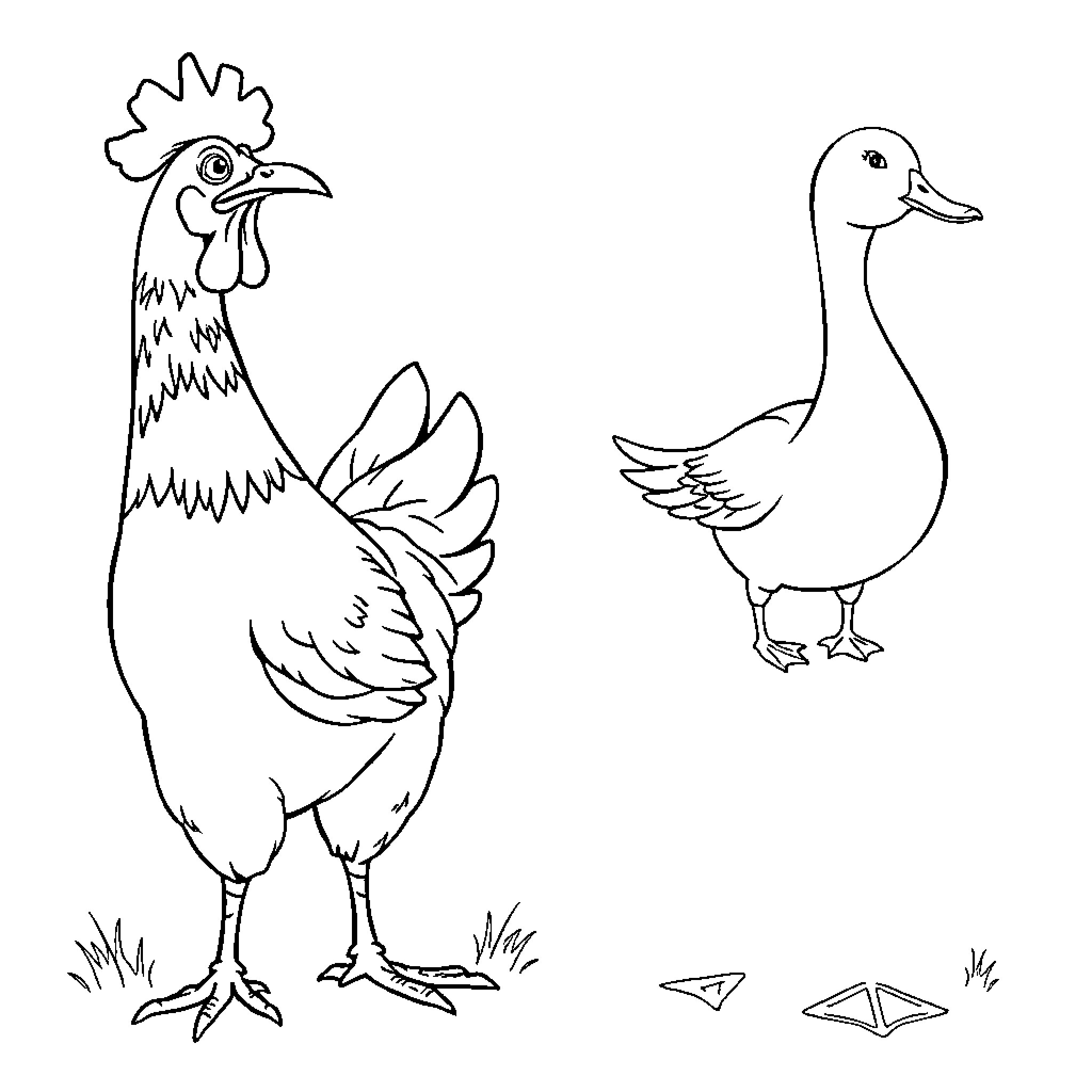 Chicken and Duck in a Yard Coloring Page (free black-and-white line drawing printable PDF for all, from beginners to advanced learners, including children, teens, adults, and seniors)