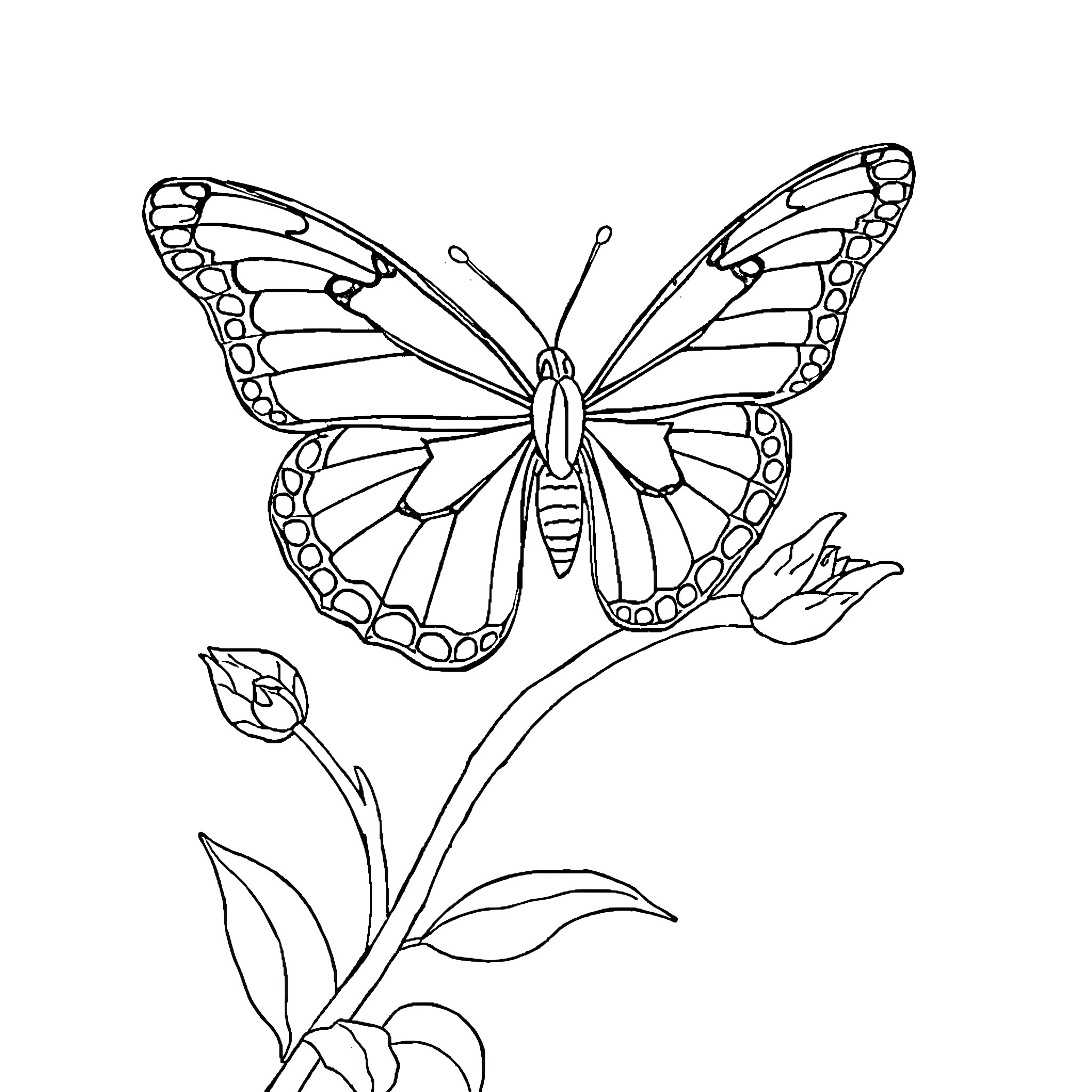 Butterfly taking flight amidst floral elements Coloring Page (free black-and-white line drawing printable PDF for all, from beginners to advanced learners, including children, teens, adults, and seniors)