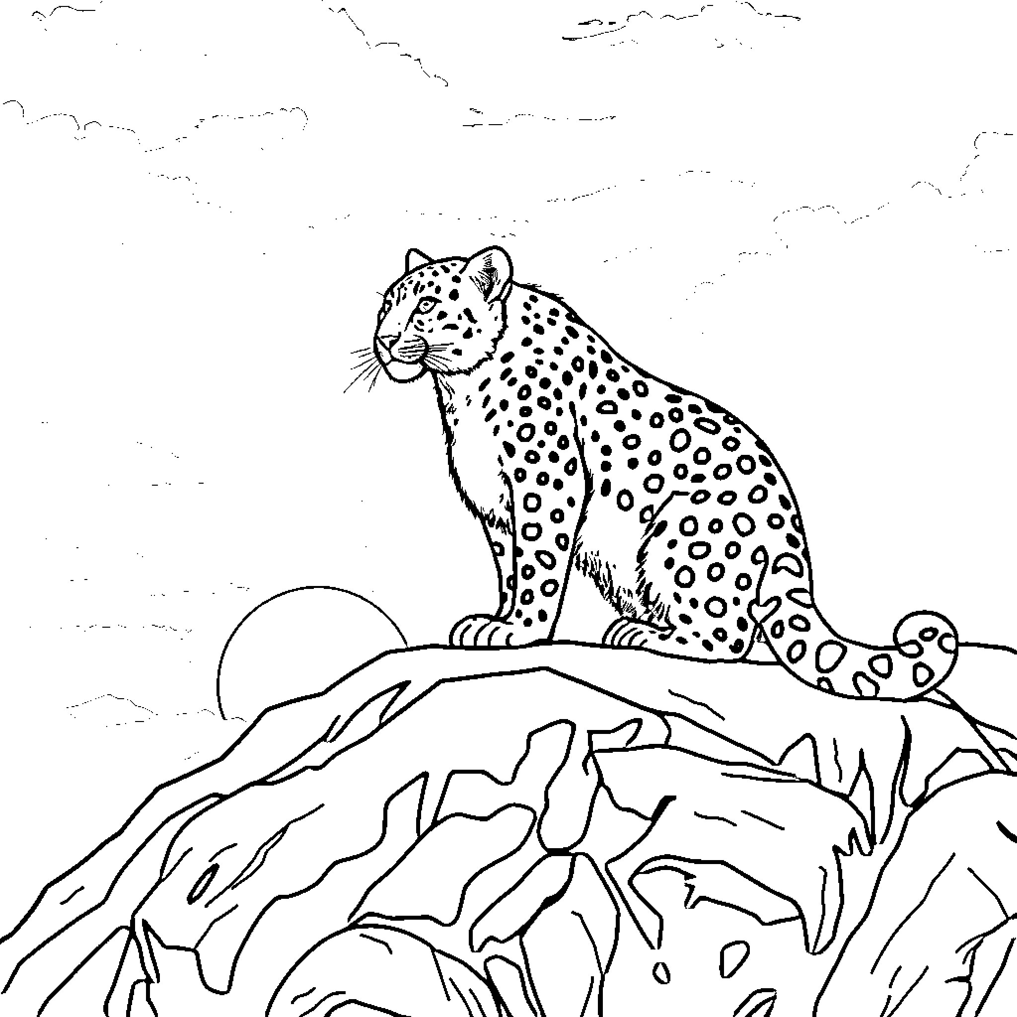 Snowleopard sitting on rocky mountain at sunset Coloring Page (free black-and-white line drawing printable PDF for all, from beginners to advanced learners, including children, teens, adults, and seniors)