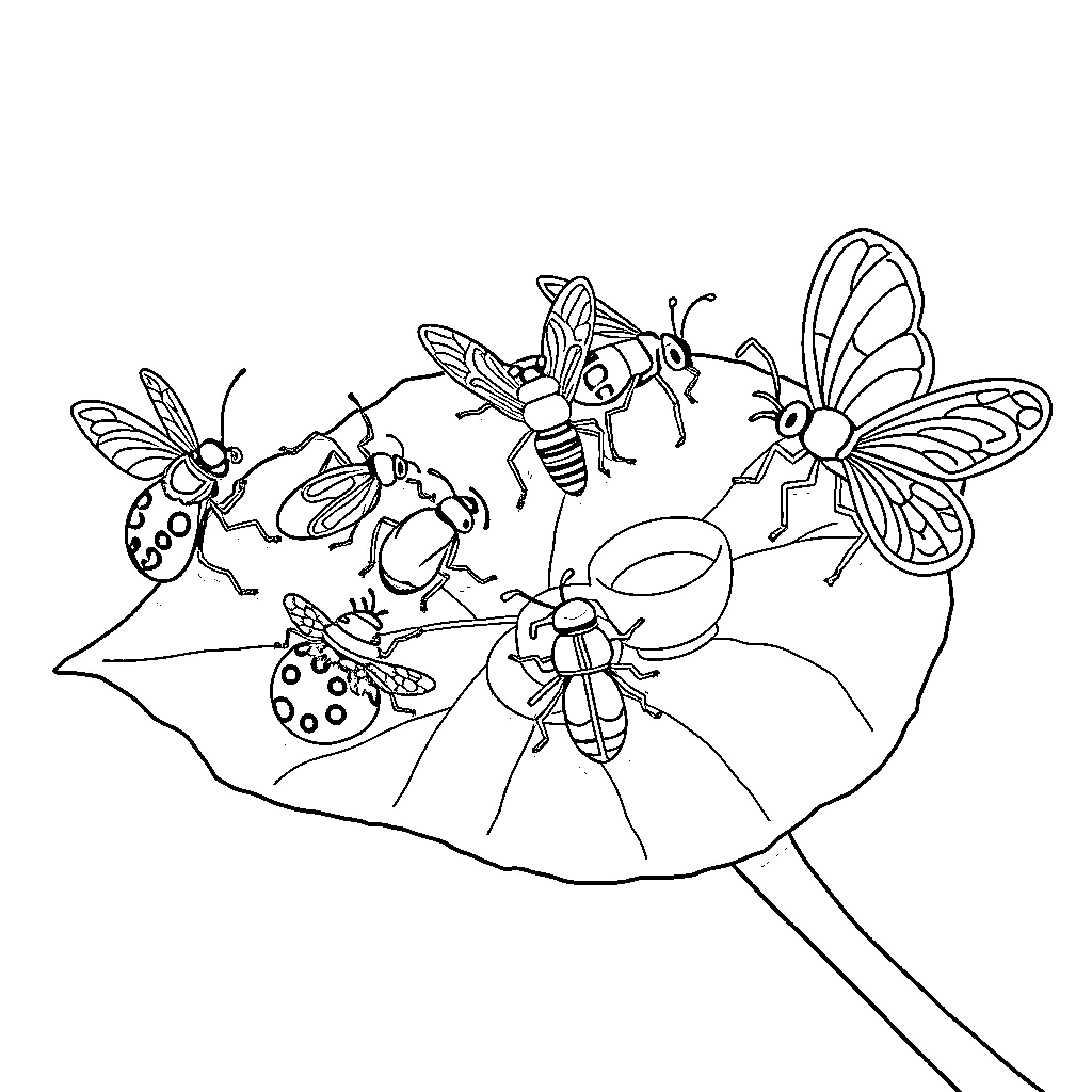 Insect friends gathering on leaf Coloring Page (free black-and-white line drawing printable PDF for all, from beginners to advanced learners, including children, teens, adults, and seniors)