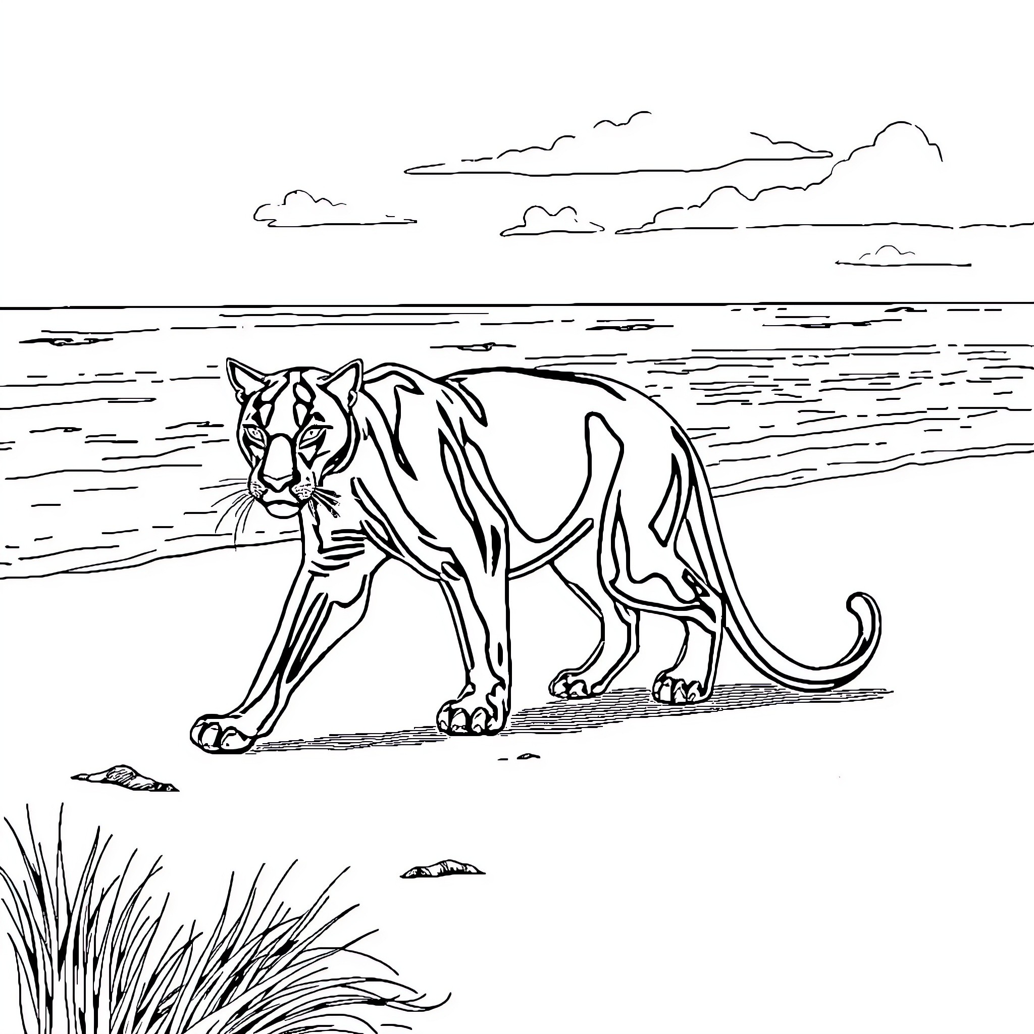 Panther stalking cautiously on the shoreline Coloring Page (free black-and-white line drawing printable PDF for all, from beginners to advanced learners, including children, teens, adults, and seniors)
