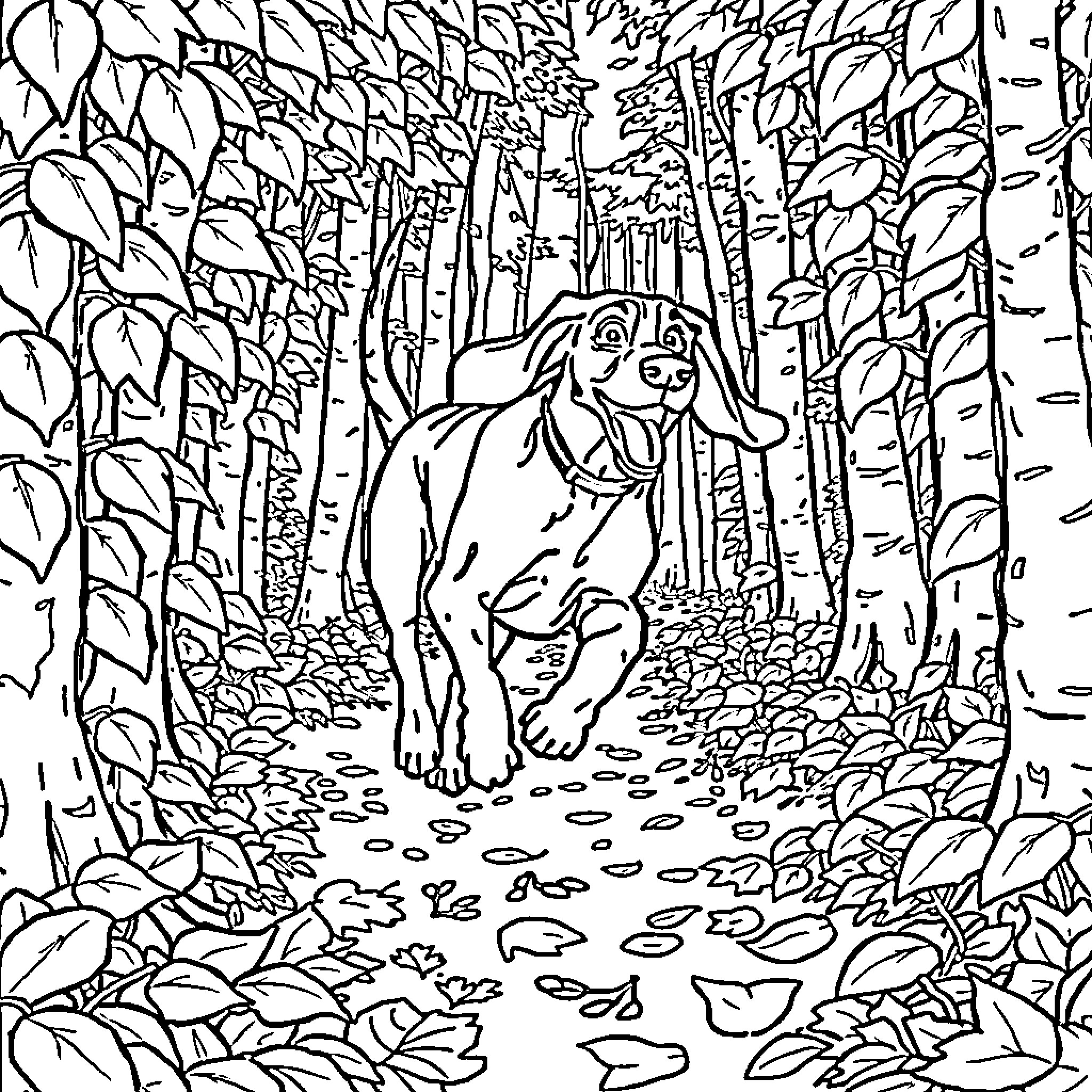 Coonhound exploring the lush forest scenery Coloring Page (free black-and-white line drawing printable PDF for all, from beginners to advanced learners, including children, teens, adults, and seniors)