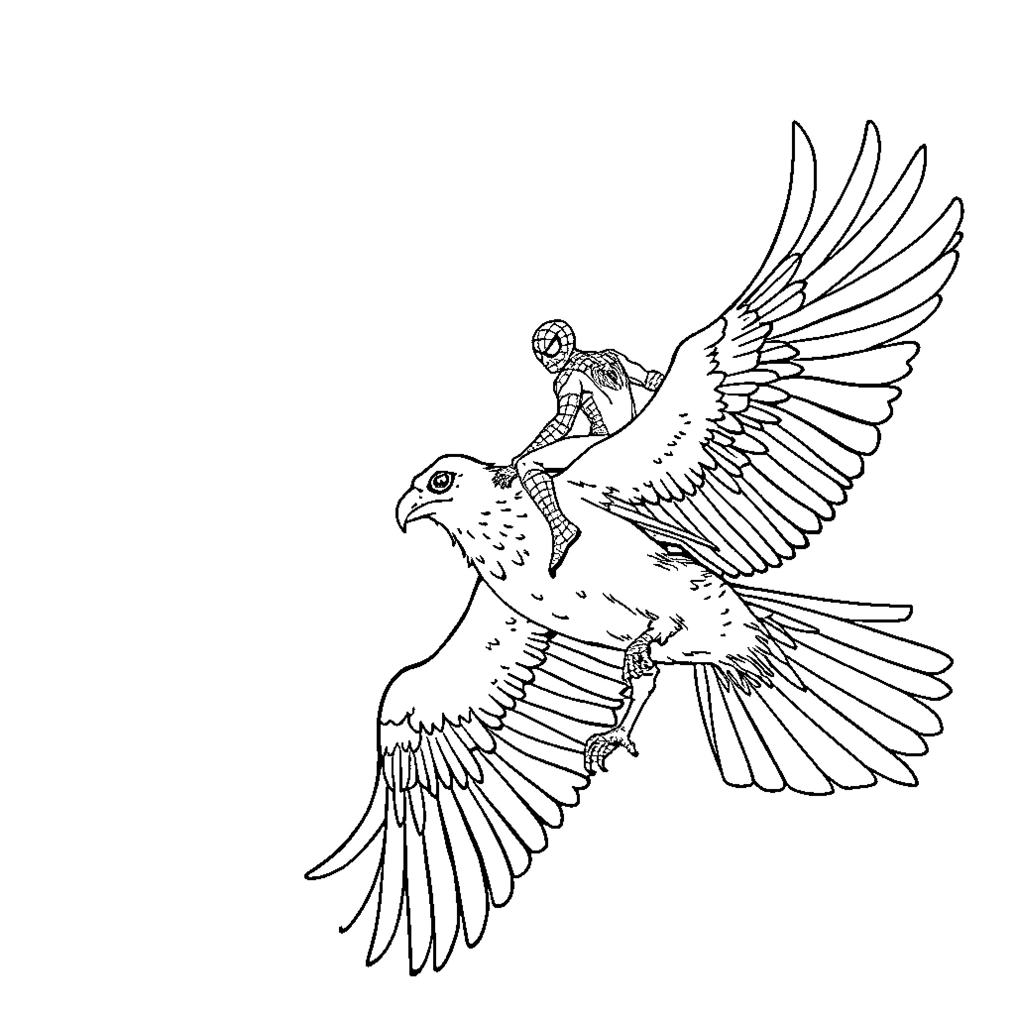 Spidey soaring high on mighty falcon wings Coloring Page (free black-and-white line drawing printable PDF for all, from beginners to advanced learners, including children, teens, adults, and seniors)