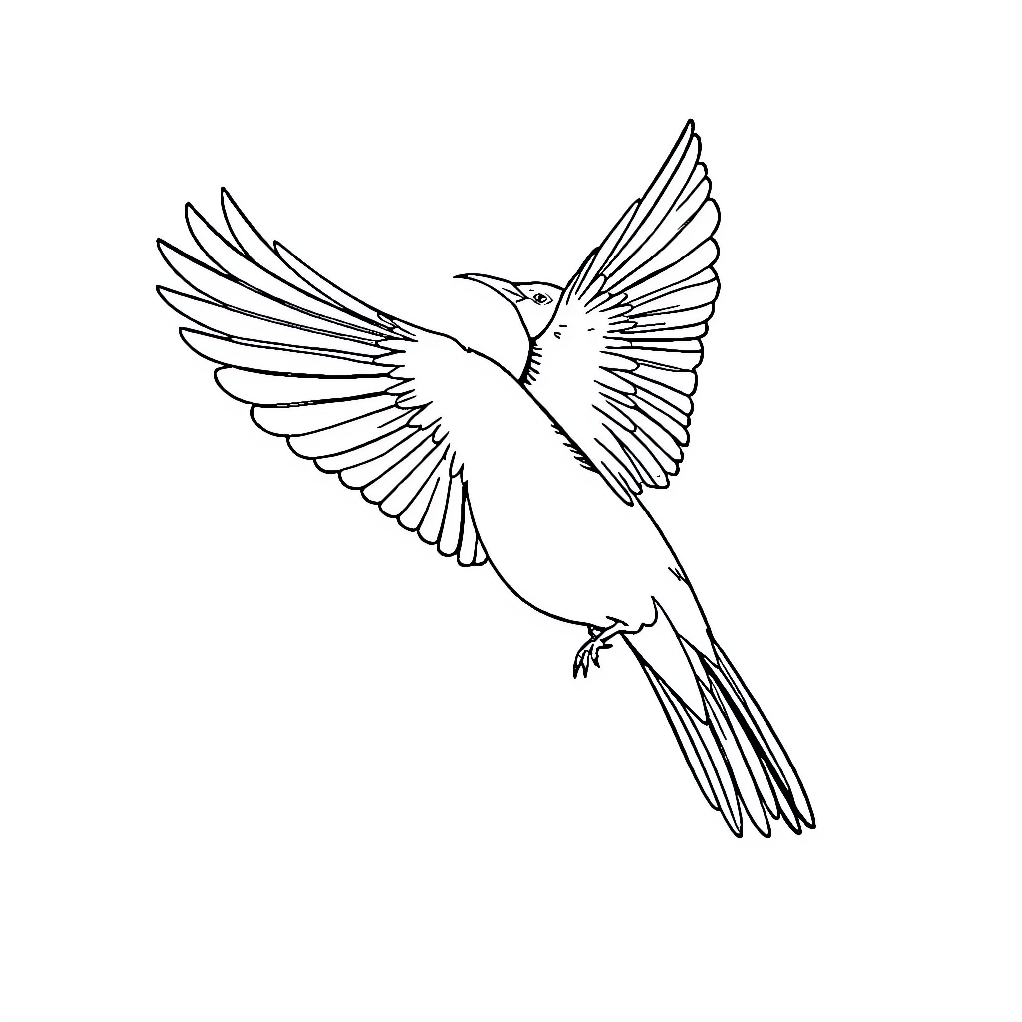 Bird in flight with outstretched wings Coloring Page (free black-and-white line drawing printable PDF for all, from beginners to advanced learners, including children, teens, adults, and seniors)