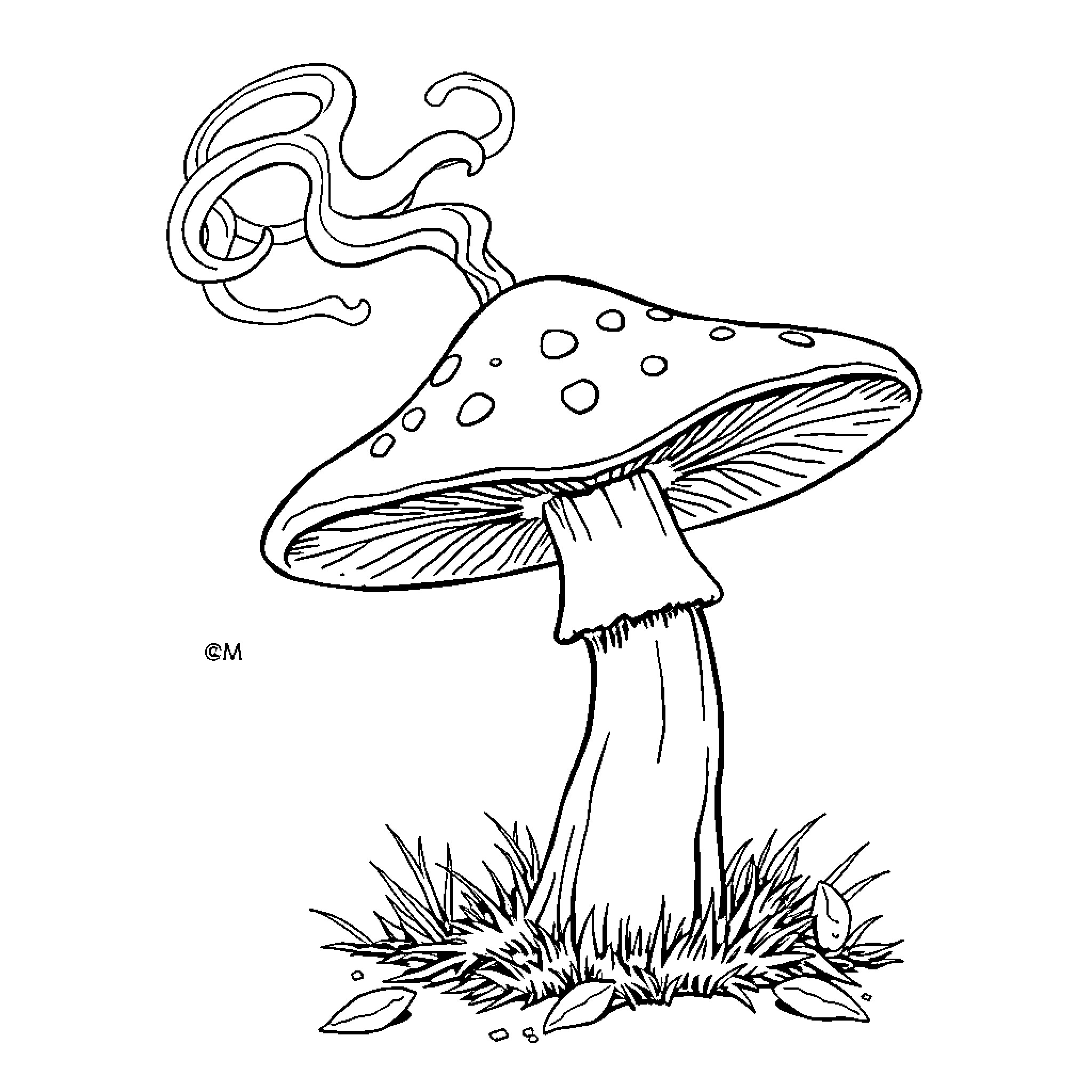 Mushroom with whimsical shapes in nature Coloring Page (free black-and-white line drawing printable PDF for all, from beginners to advanced learners, including children, teens, adults, and seniors)