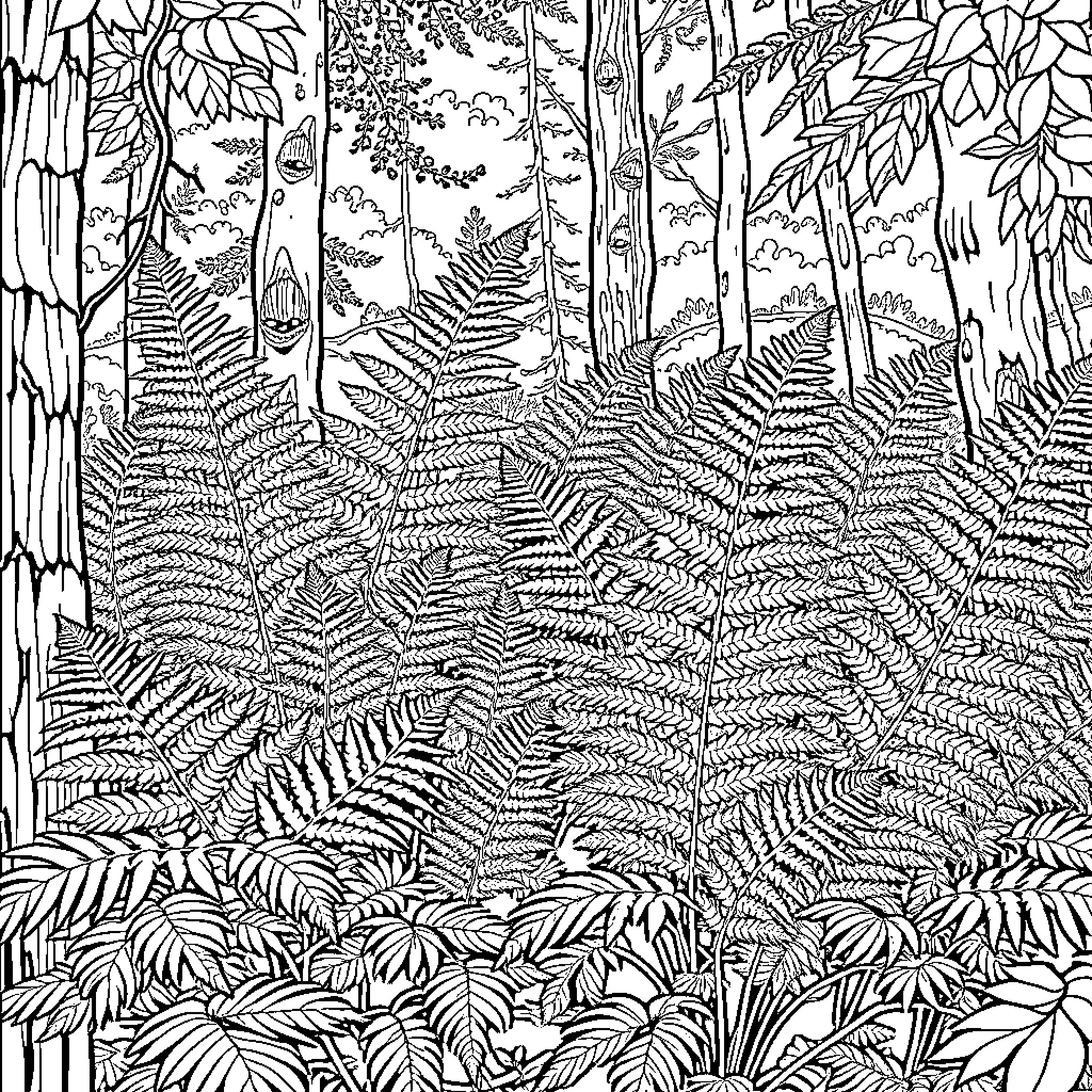 Fern Forest Flourishing with Intricate Details Coloring Page (free black-and-white line drawing printable PDF for all, from beginners to advanced learners, including children, teens, adults, and seniors)