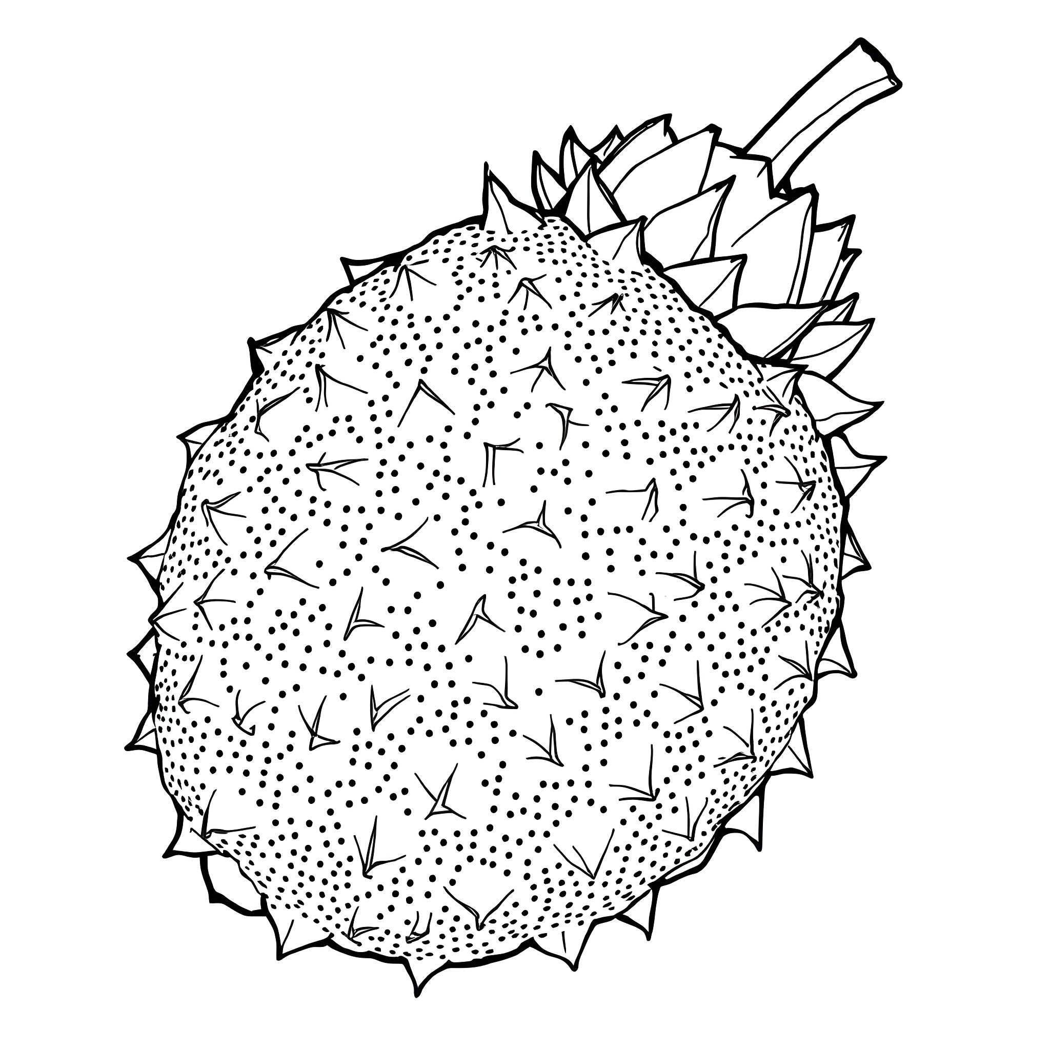 Jackfruit with intricate spiky patterns Coloring Page (free black-and-white line drawing printable PDF for all, from beginners to advanced learners, including children, teens, adults, and seniors)