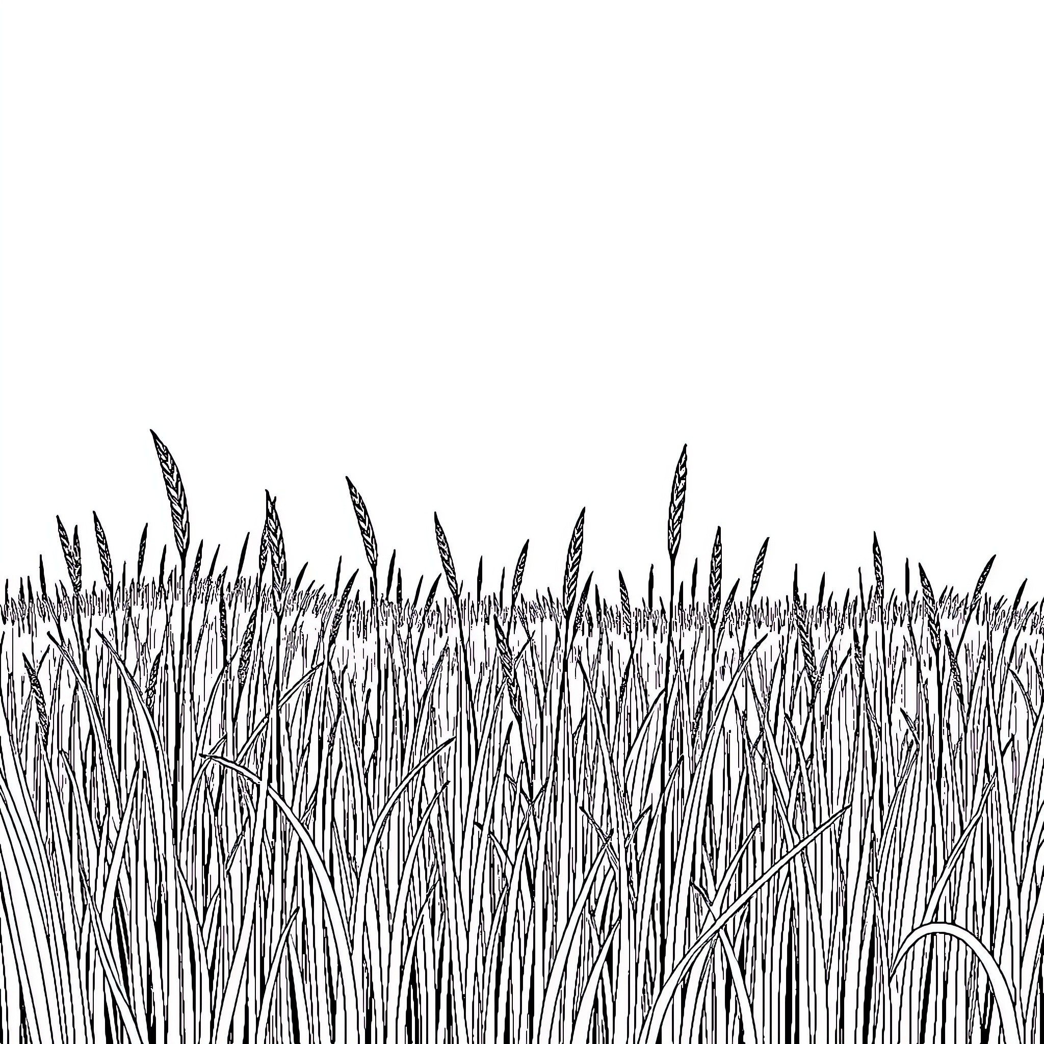 Grassy Field with Tall Stalks Coloring Page (free black-and-white line drawing printable PDF for all, from beginners to advanced learners, including children, teens, adults, and seniors)