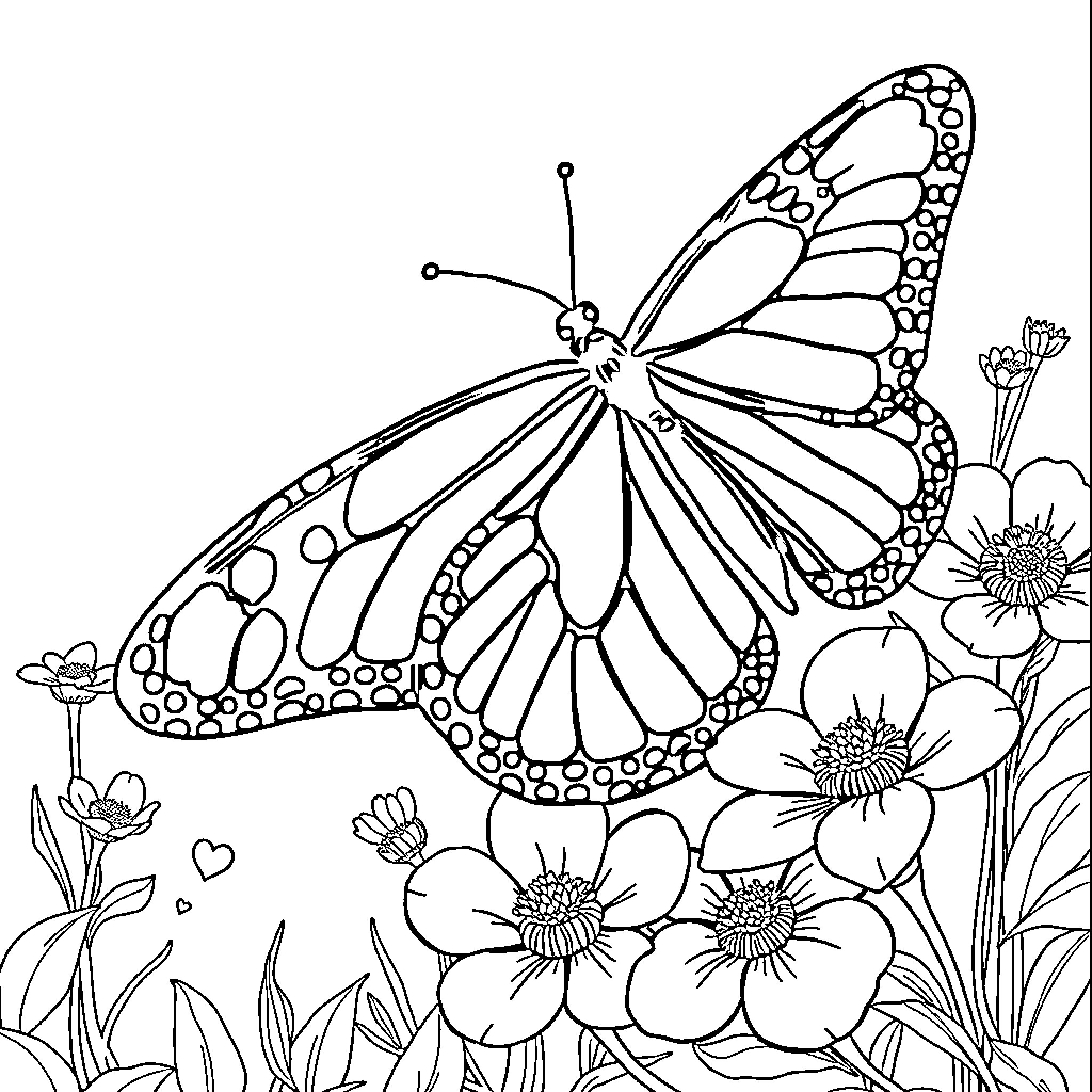 Butterfly resting on a floral field Coloring Page (free black-and-white line drawing printable PDF for all, from beginners to advanced learners, including children, teens, adults, and seniors)