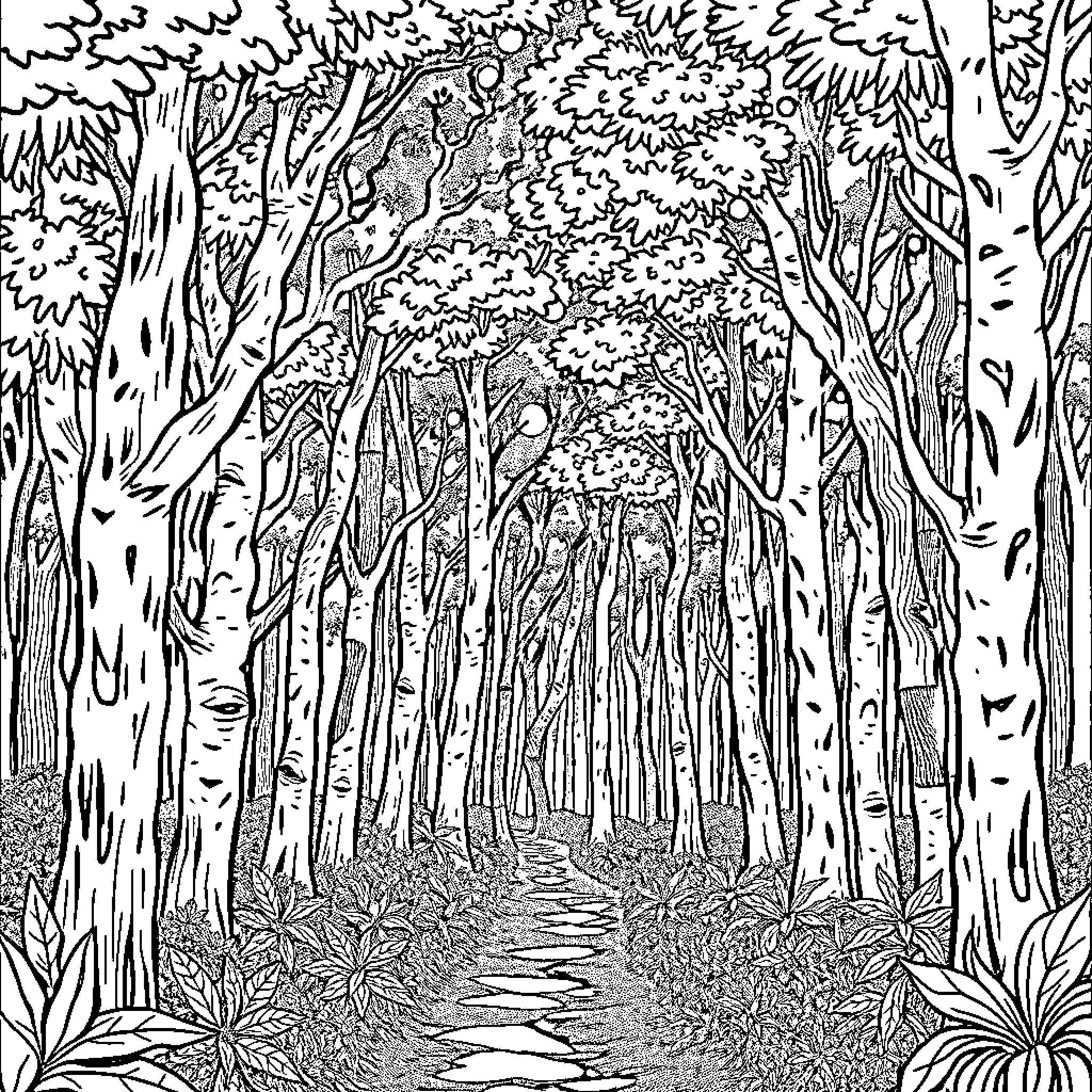 Vida's Enchanted Forest Path Coloring Page (free black-and-white line drawing printable PDF for all, from beginners to advanced learners, including children, teens, adults, and seniors)