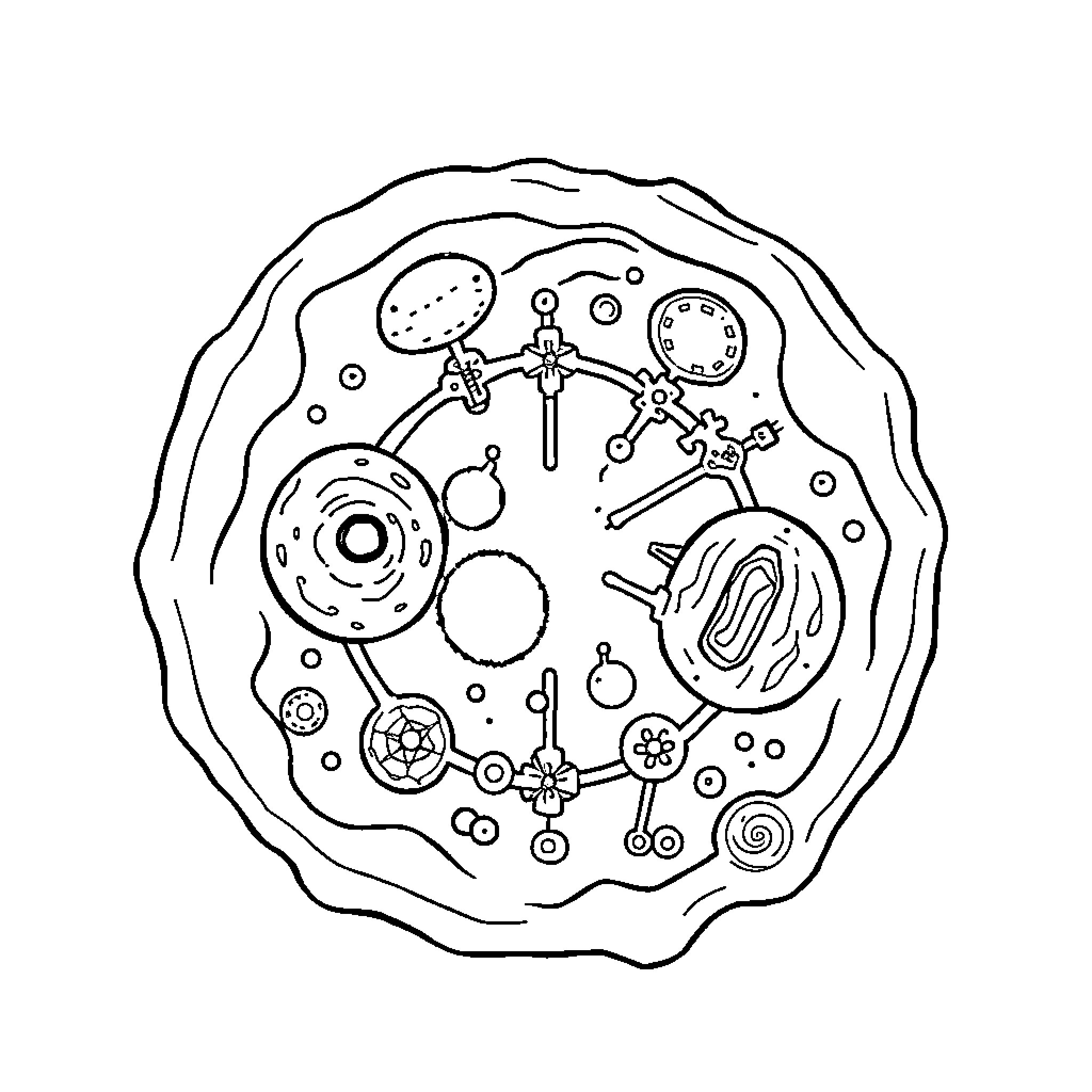 Cell Diagram with Intricate Structures Coloring Page (free black-and-white line drawing printable PDF for all, from beginners to advanced learners, including children, teens, adults, and seniors)