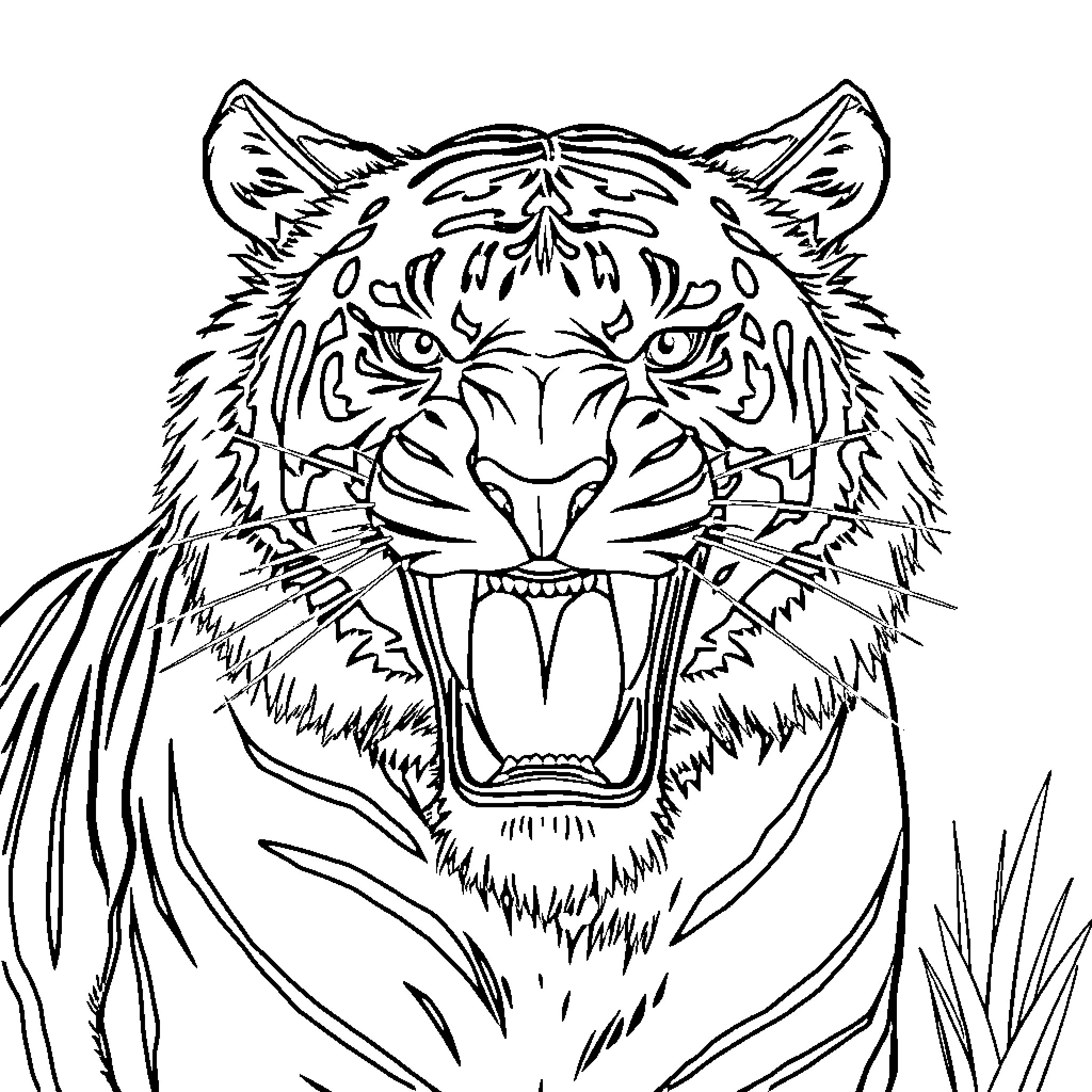Saber-toothed Tiger displaying fierce expression Coloring Page (free black-and-white line drawing printable PDF for all, from beginners to advanced learners, including children, teens, adults, and seniors)