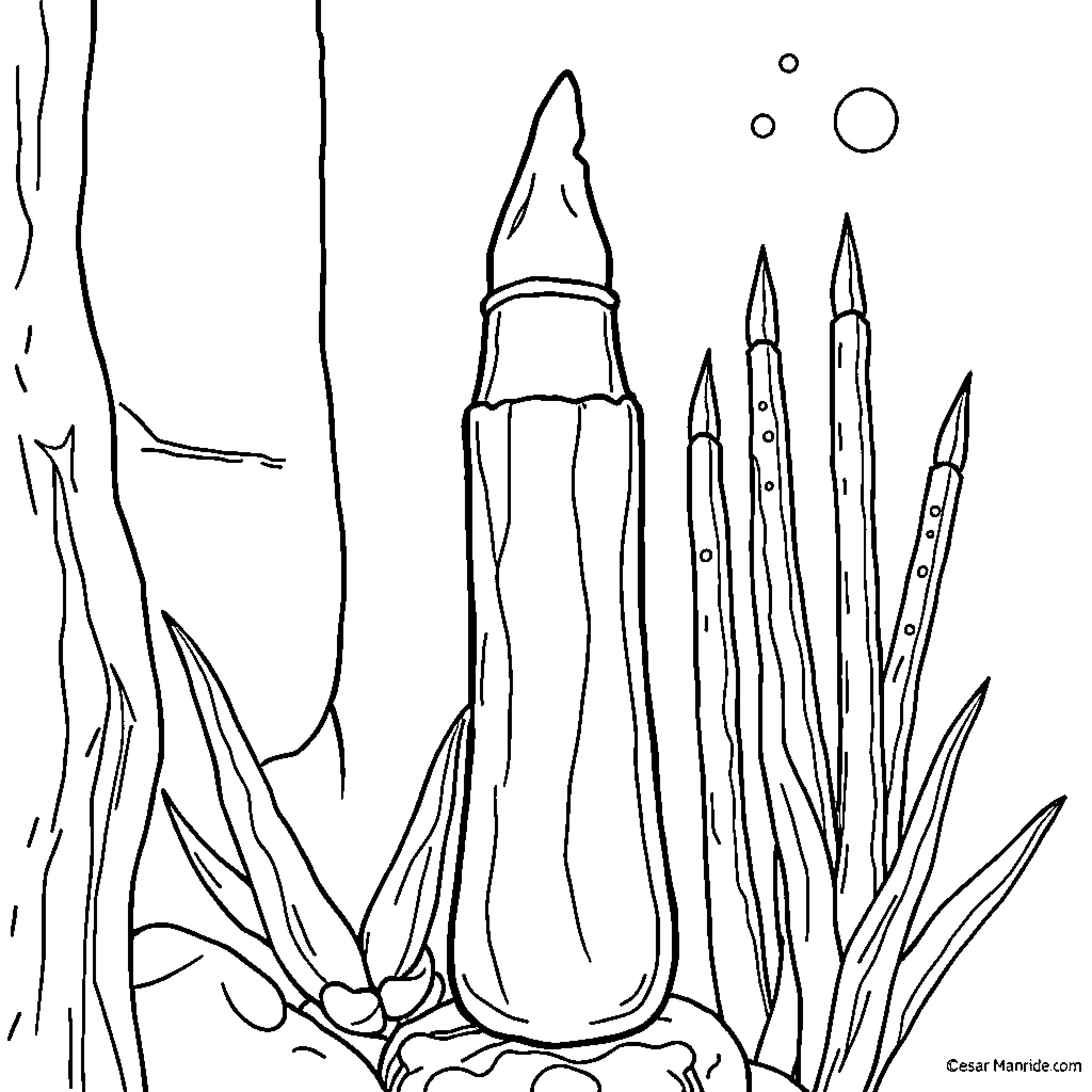 Hammer Fish swimming among tall plants Coloring Page (free black-and-white line drawing printable PDF for all, from beginners to advanced learners, including children, teens, adults, and seniors)
