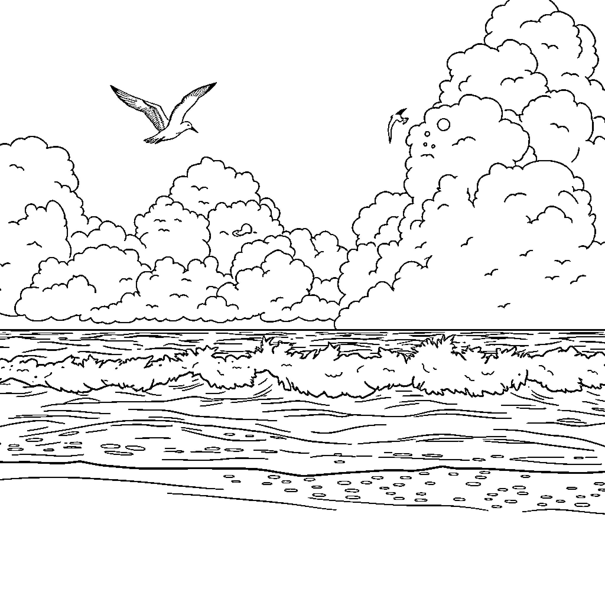 Beach scene with flying bird and cloudy sky Coloring Page (free black-and-white line drawing printable PDF for all, from beginners to advanced learners, including children, teens, adults, and seniors)