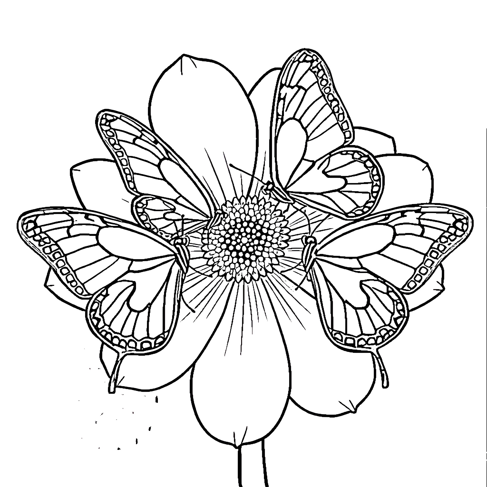 Butterfly flower with intricate wings Coloring Page (free black-and-white line drawing printable PDF for all, from beginners to advanced learners, including children, teens, adults, and seniors)