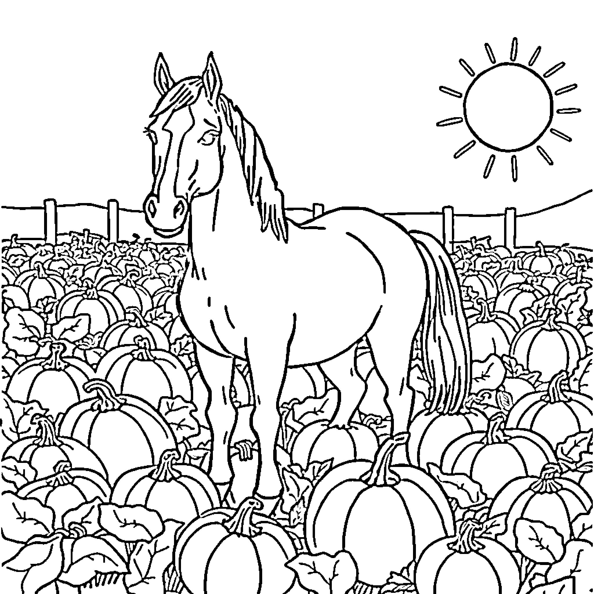 Horse standing amidst pumpkins in a field Coloring Page (free black-and-white line drawing printable PDF for all, from beginners to advanced learners, including children, teens, adults, and seniors)