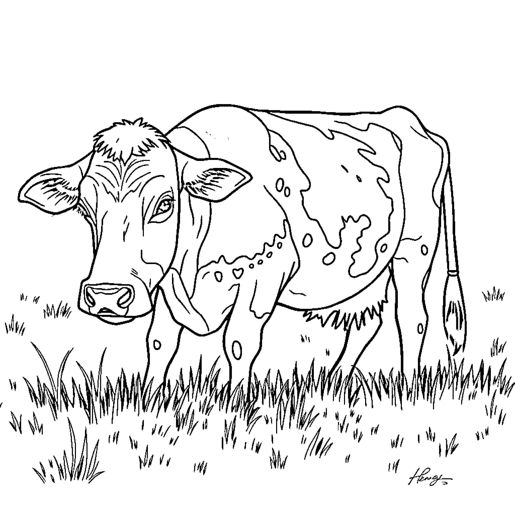 Cow grazing peacefully in the field Coloring Page (free black-and-white line drawing printable PDF for all, from beginners to advanced learners, including children, teens, adults, and seniors)