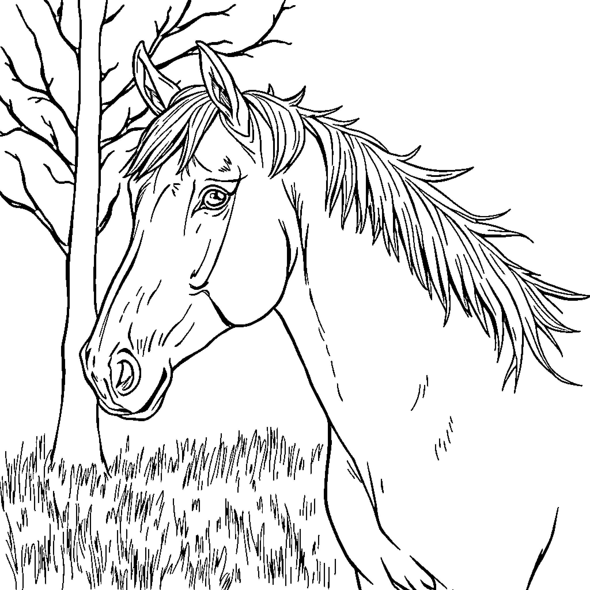 Horse standing amid the trees Coloring Page (free black-and-white line drawing printable PDF for all, from beginners to advanced learners, including children, teens, adults, and seniors)