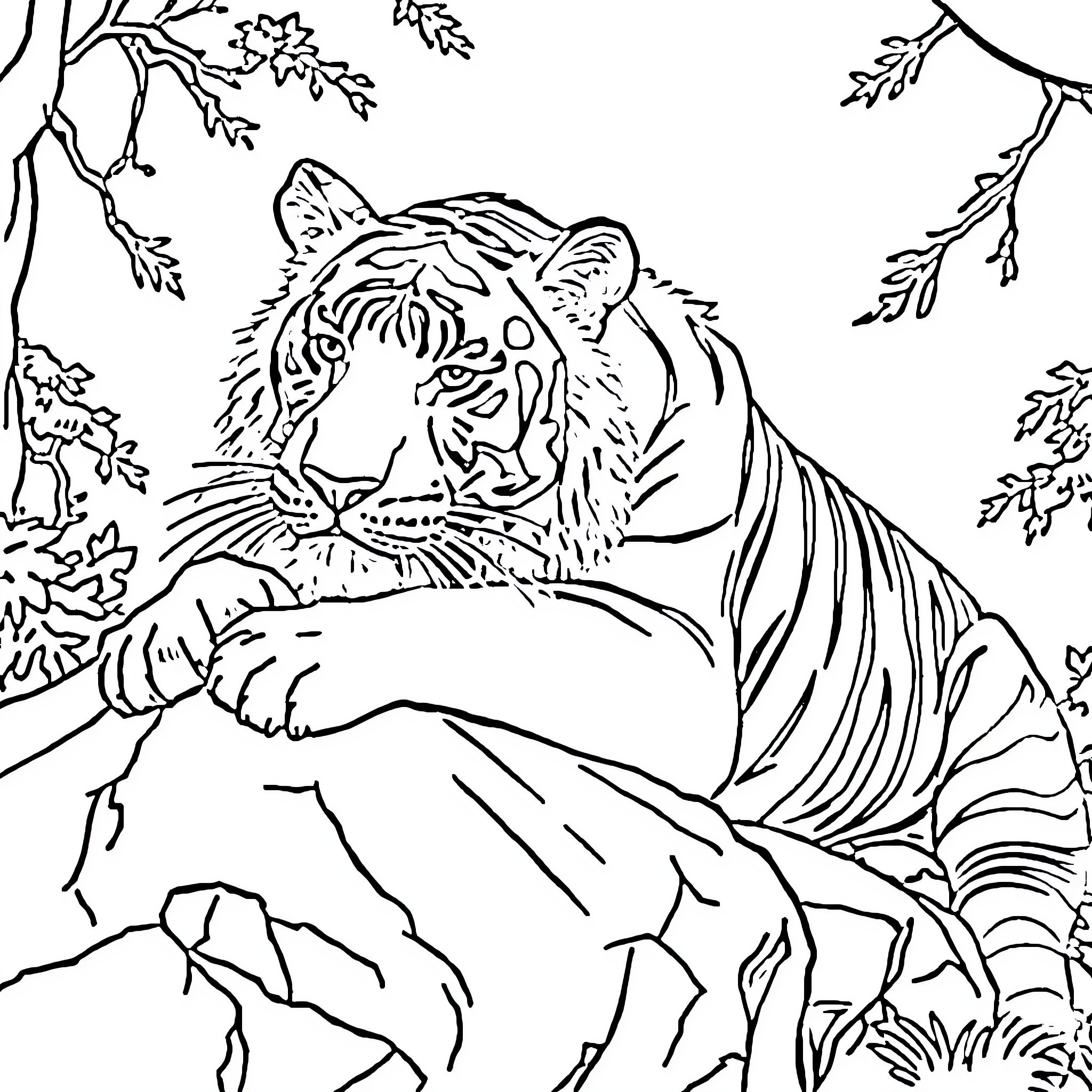 Tiger resting peacefully in the wilderness Coloring Page (free black-and-white line drawing printable PDF for all, from beginners to advanced learners, including children, teens, adults, and seniors)