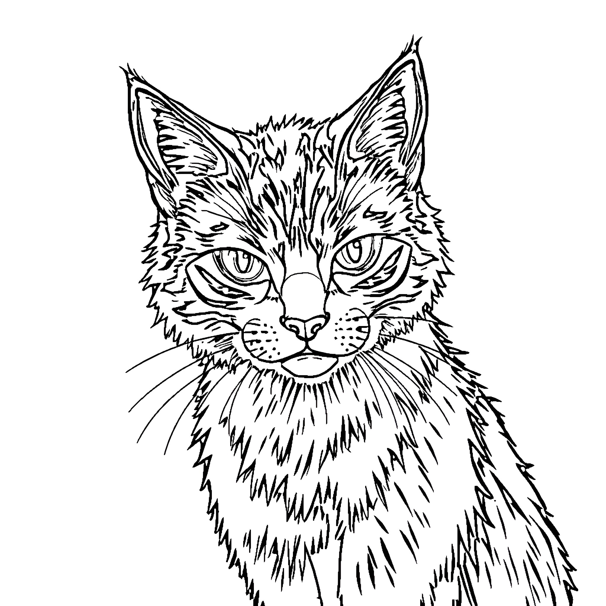 Cat with intense gaze Coloring Page (free black-and-white line drawing printable PDF for all, from beginners to advanced learners, including children, teens, adults, and seniors)