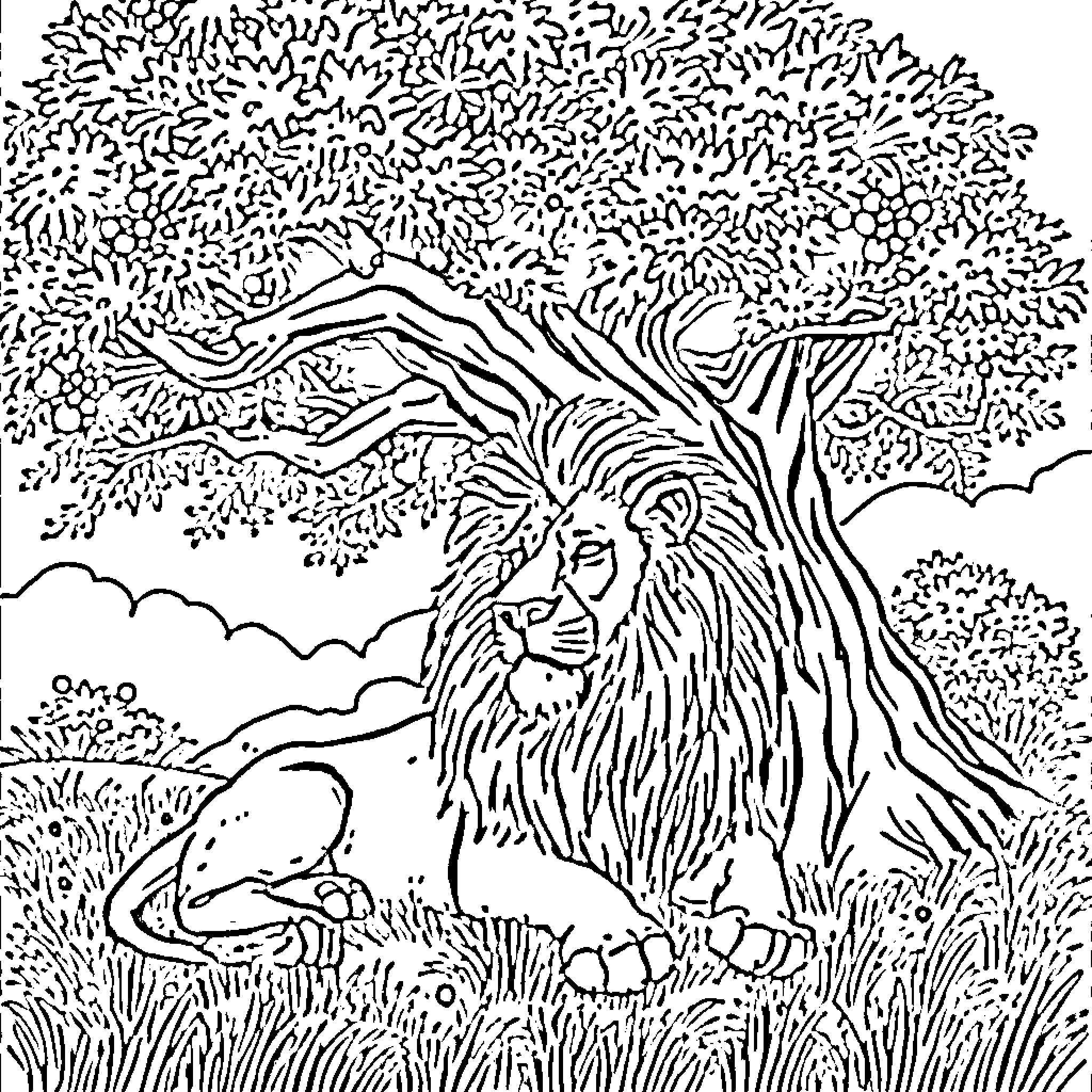 Lion resting under a tree in the wild Coloring Page (free black-and-white line drawing printable PDF for all, from beginners to advanced learners, including children, teens, adults, and seniors)