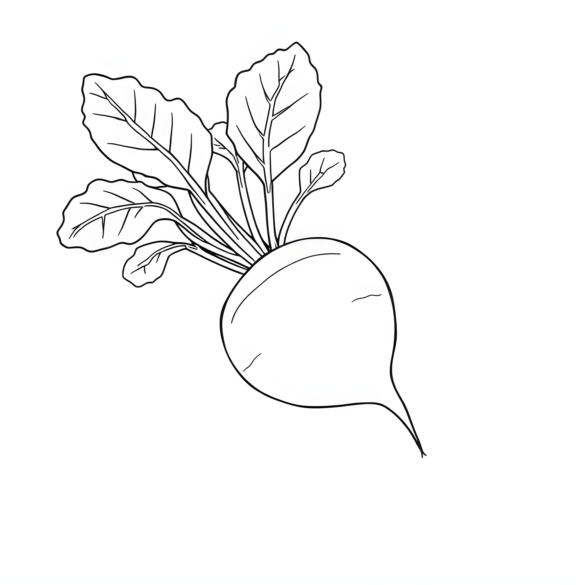 Beetroot with lush leaves and minimalist design Coloring Page (free black-and-white line drawing printable PDF for all, from beginners to advanced learners, including children, teens, adults, and seniors)