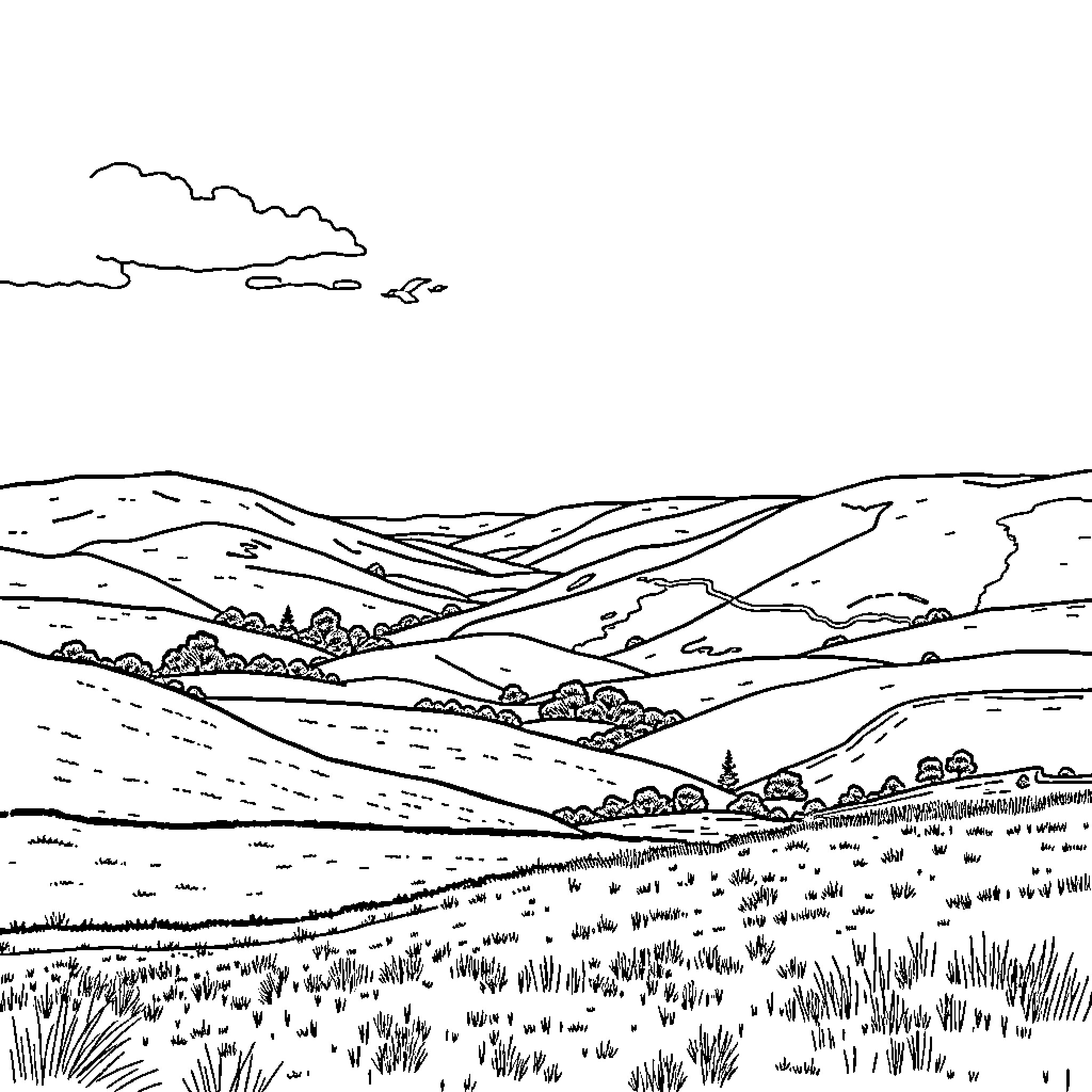 Landscape of rolling hills and grassy fields Coloring Page (free black-and-white line drawing printable PDF for all, from beginners to advanced learners, including children, teens, adults, and seniors)