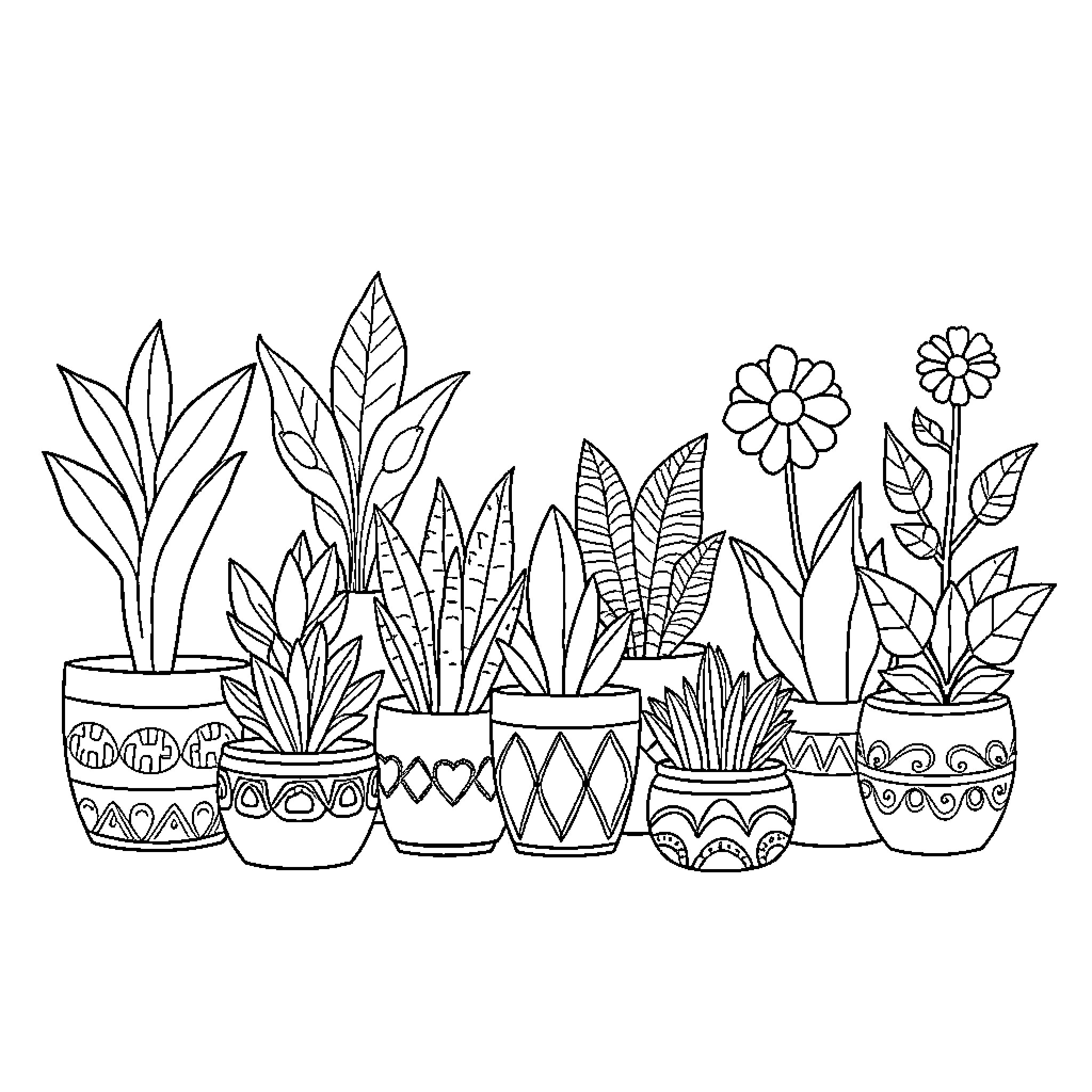 Plant pots with various flowers and foliage Coloring Page (free black-and-white line drawing printable PDF for all, from beginners to advanced learners, including children, teens, adults, and seniors)